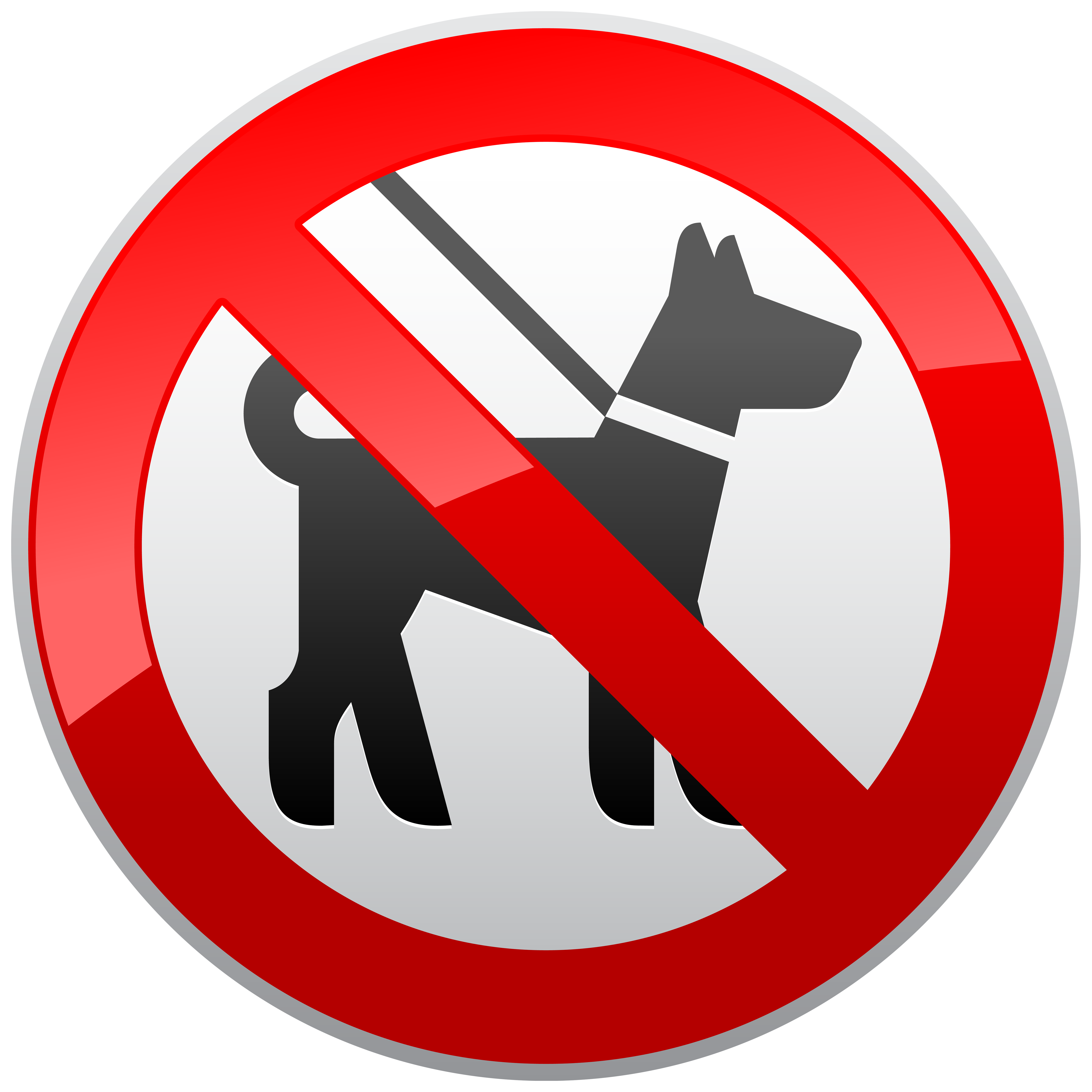 No Dogs Sign Prohibition PNG Clipart - Best WEB Clipart