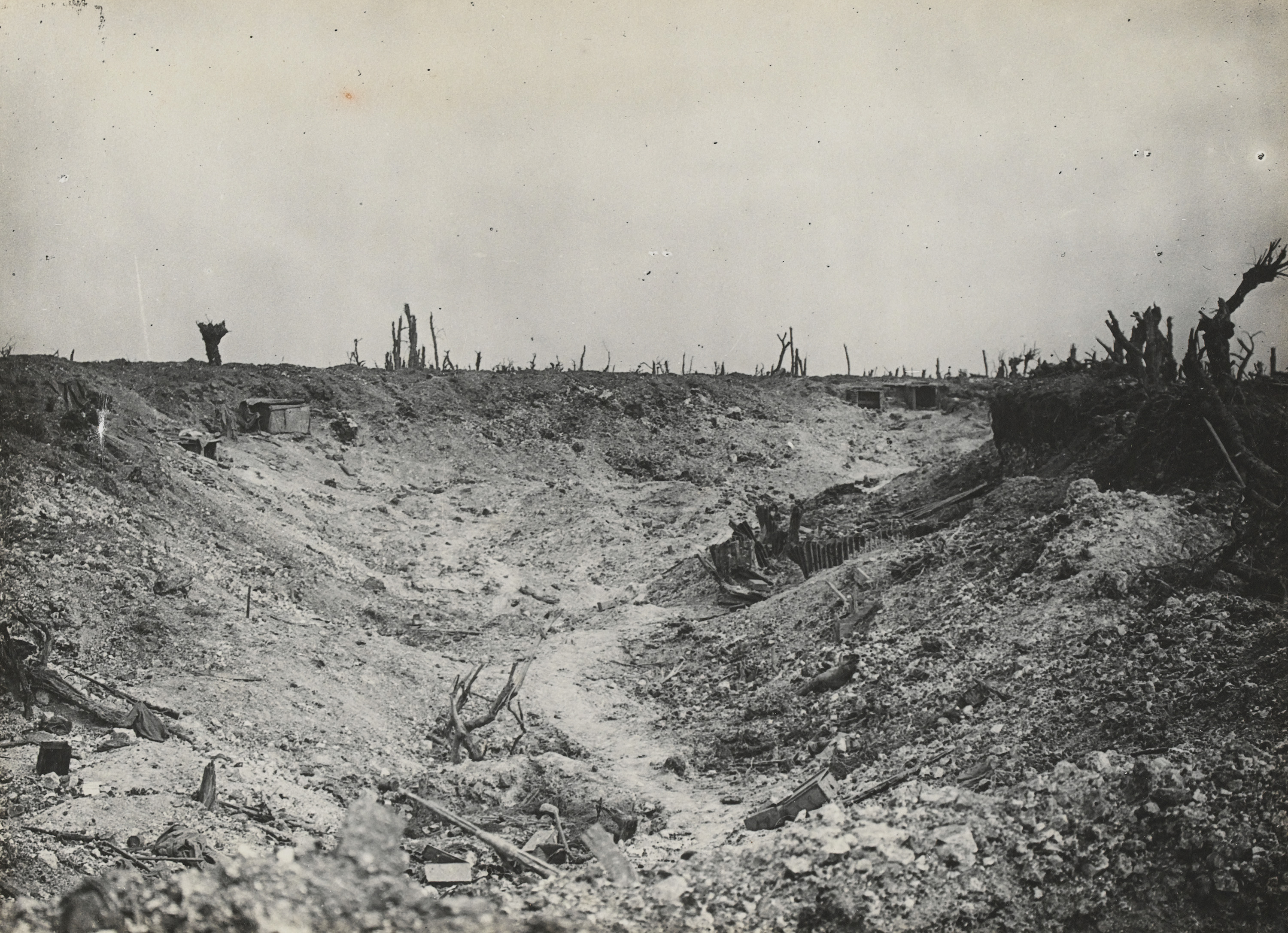 No Man's Land. | British Army First World War