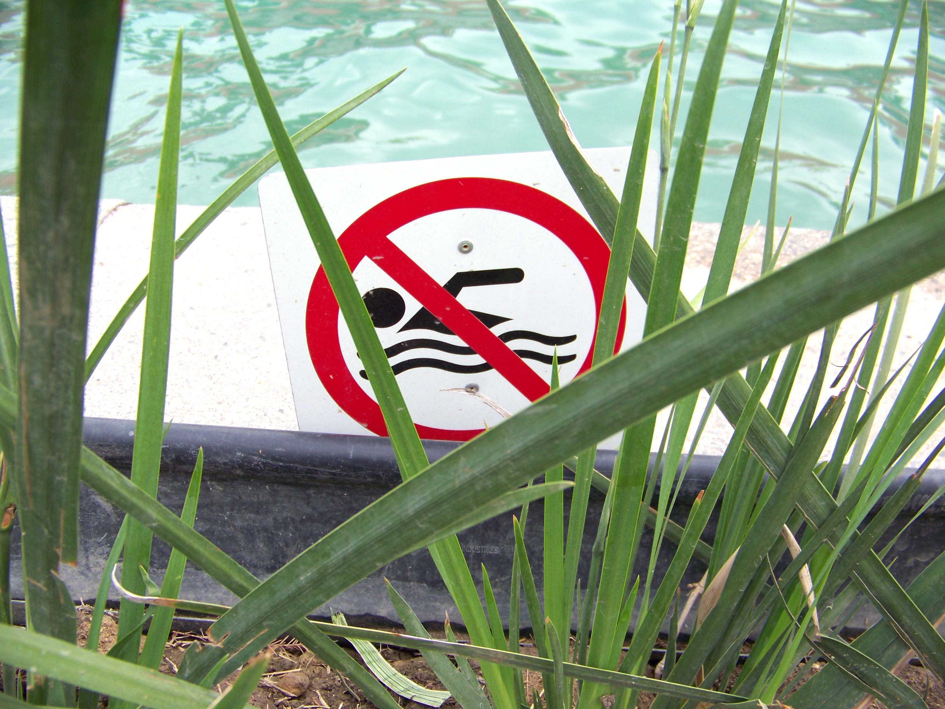 No swimming sign photo