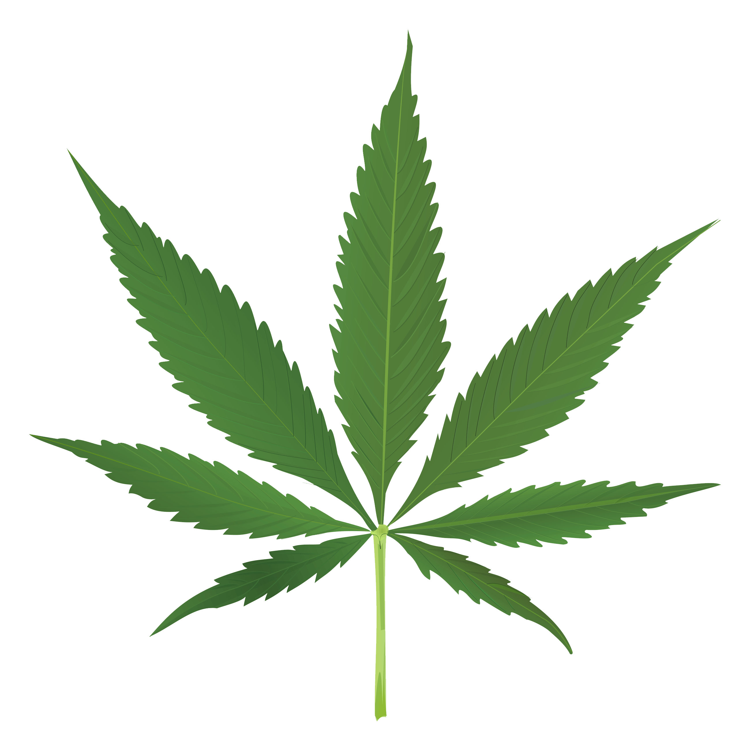 Thug Life Weed Leaf transparent PNG - StickPNG