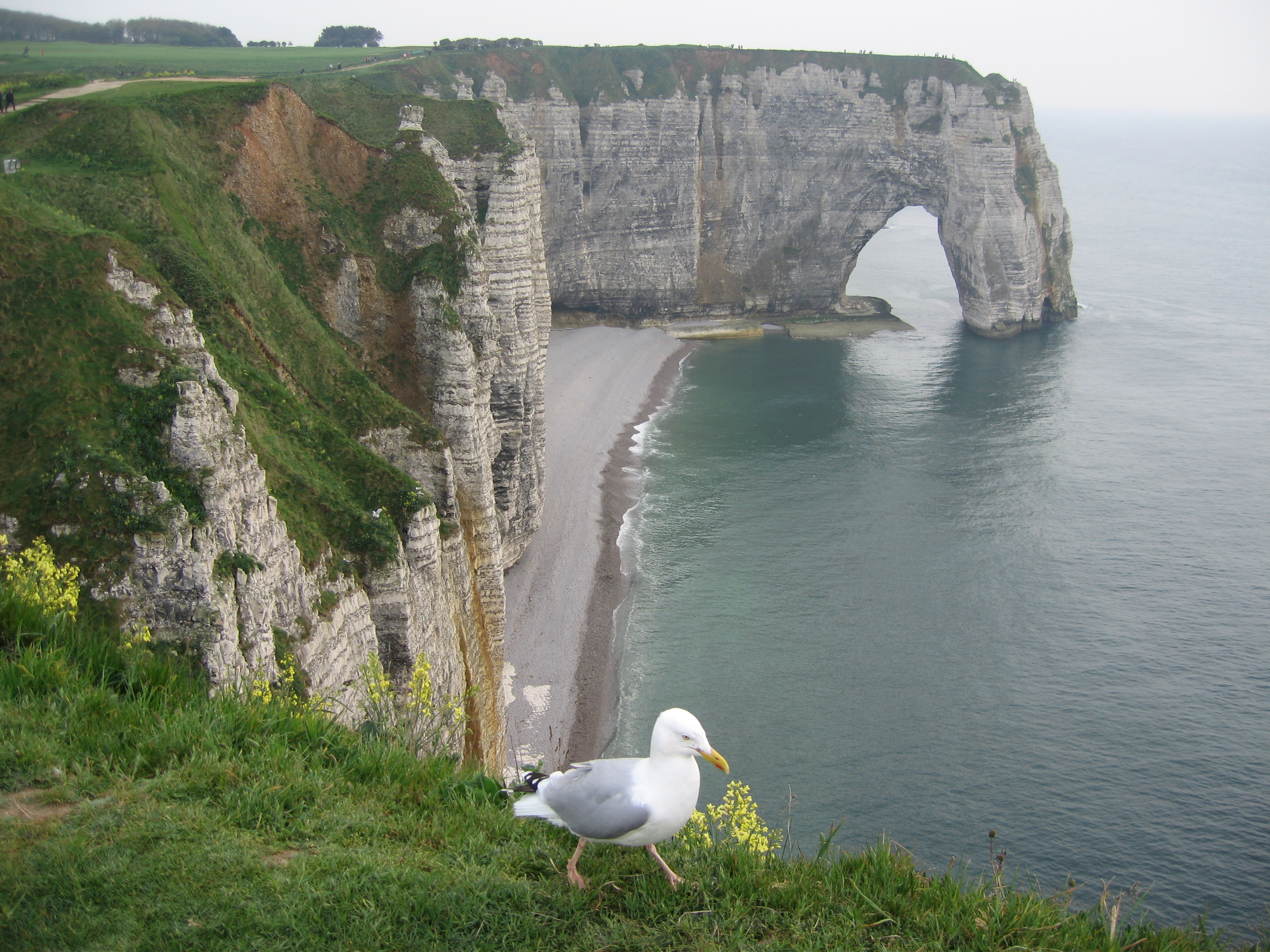 File:Cliffs of Etretat, Normandy, May 2006.jpg - Wikimedia Commons