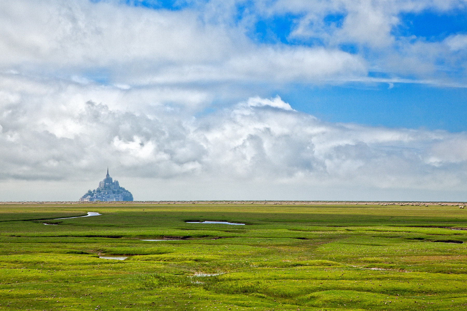 Normandy pasture - hdr photo