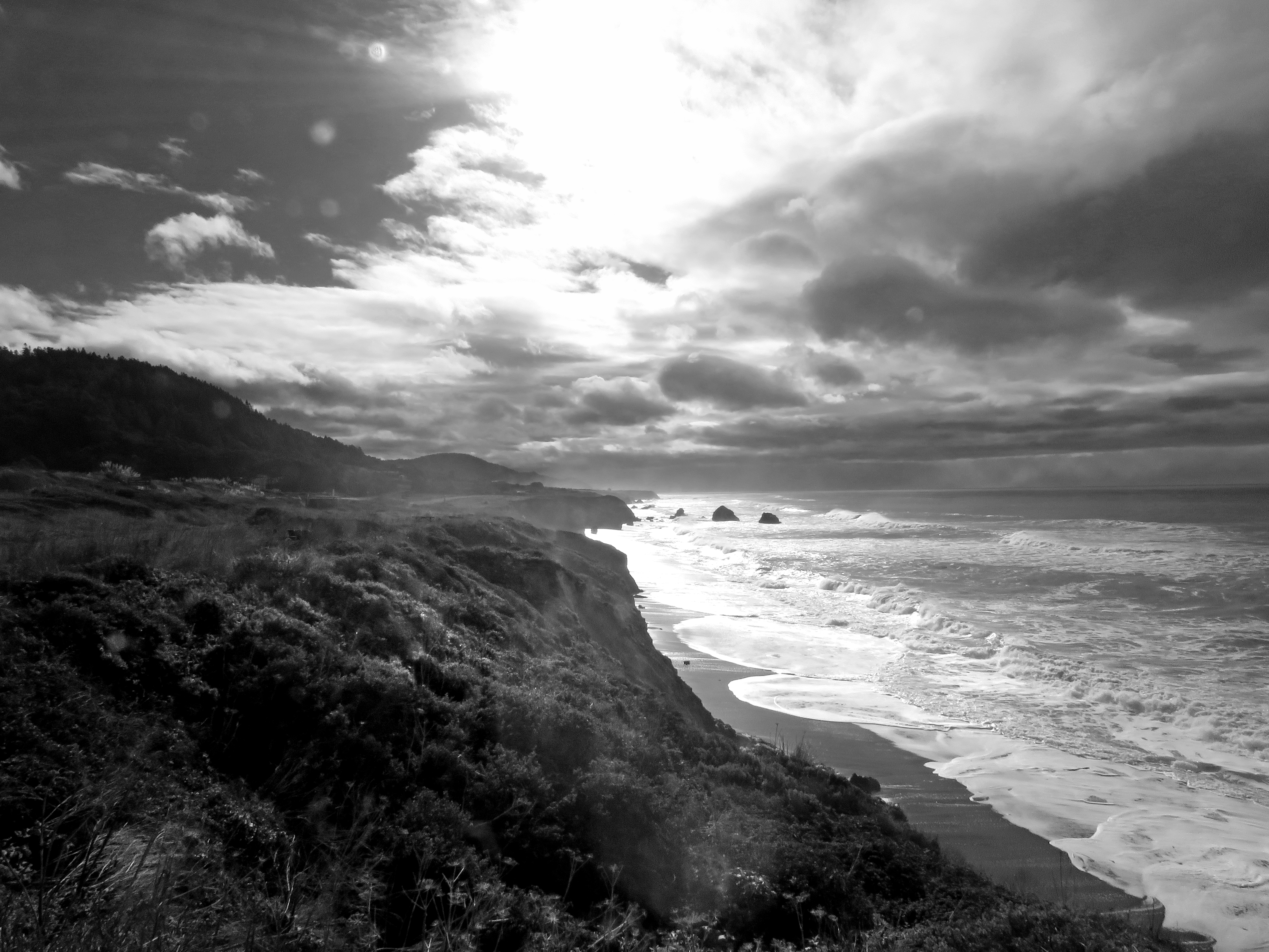 North coast, ca ( 1-4-2017) howard landing, westport-union state beach, mendocino co, ca -08 bw photo
