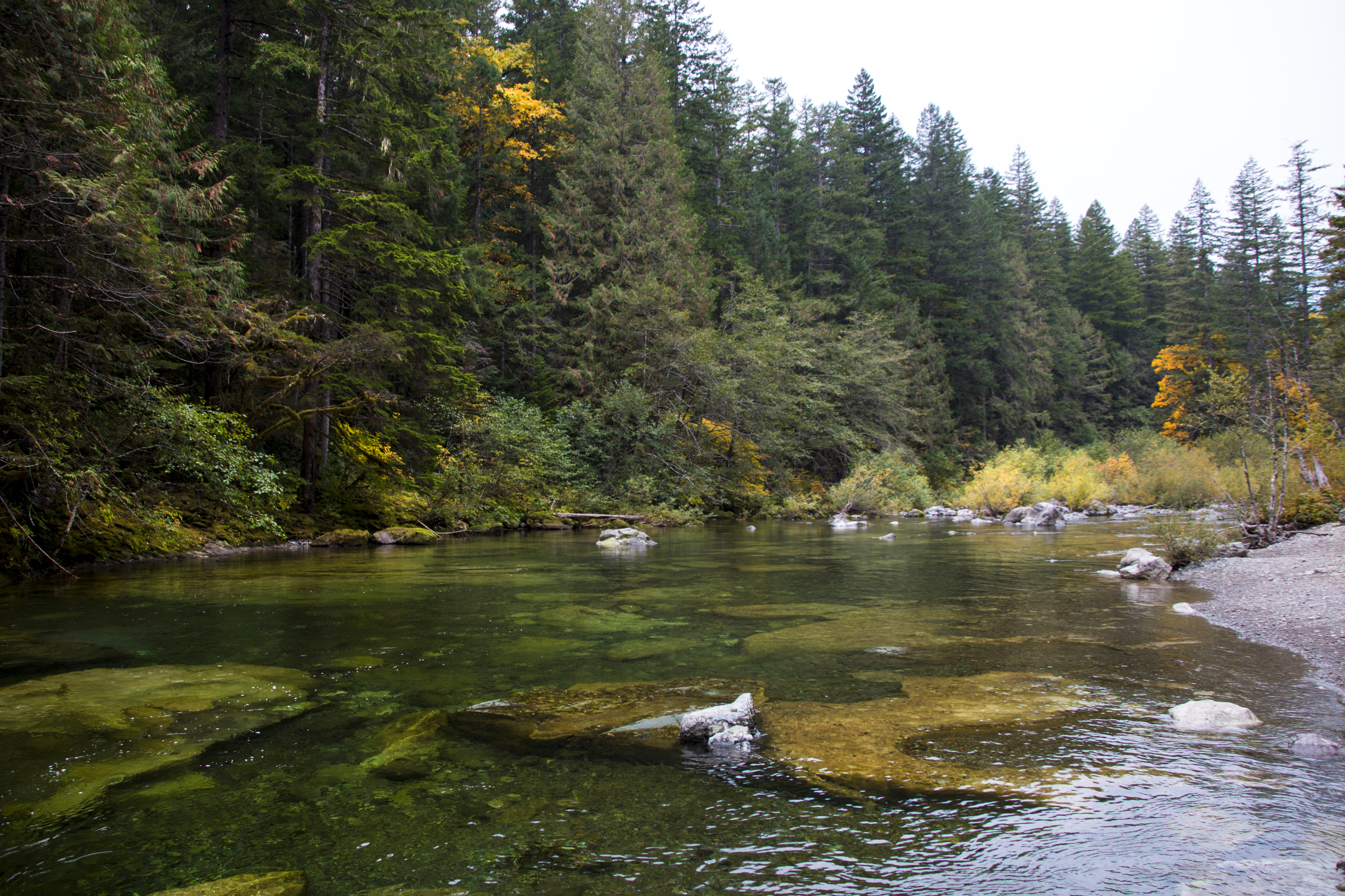 North Fork of Santiam River, Oregon, Autumn, Autumn, Forest, Lake, Landscape, HQ Photo