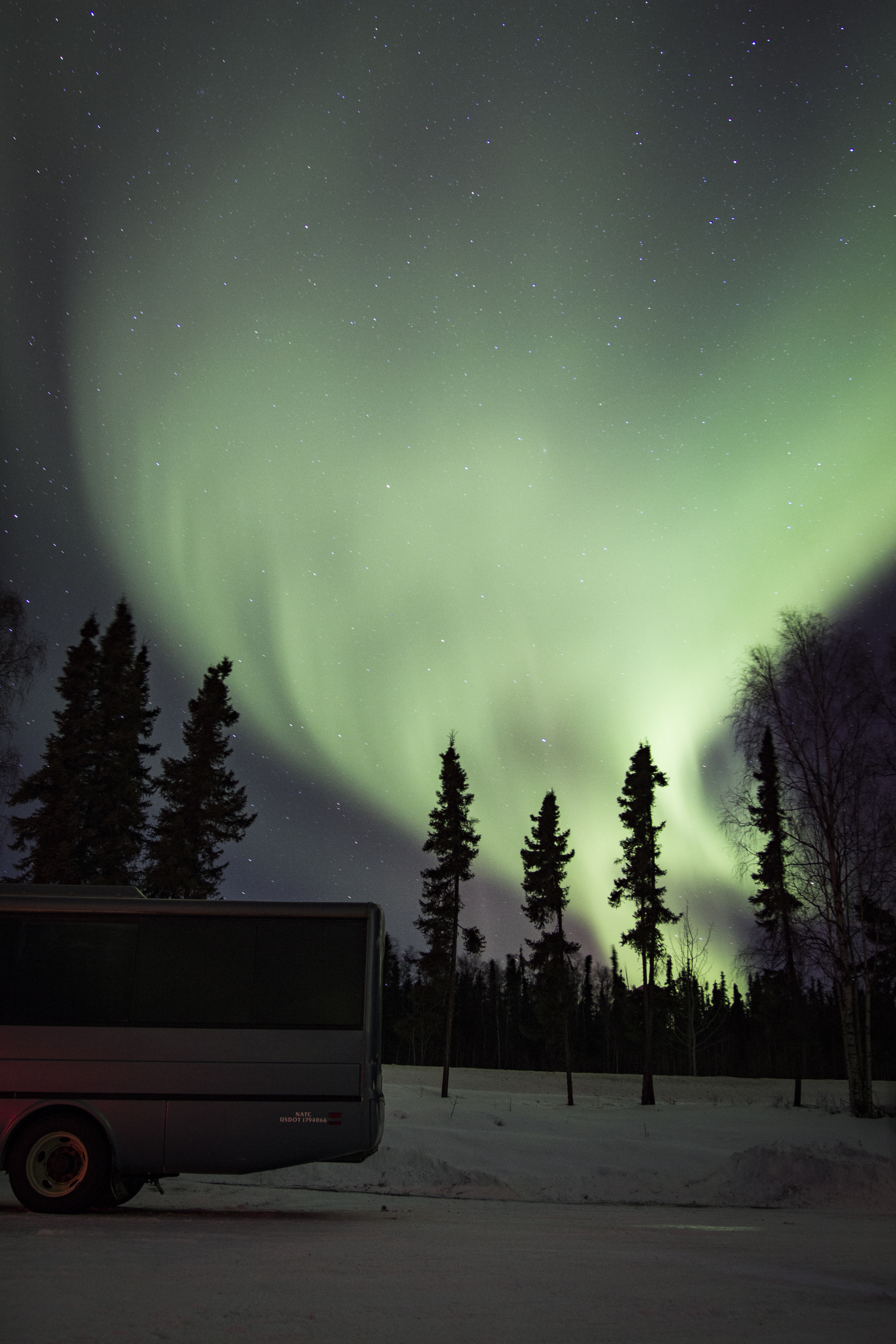 Northern Lights Alaska, 600D, Aurora, Below, Borealis, HQ Photo
