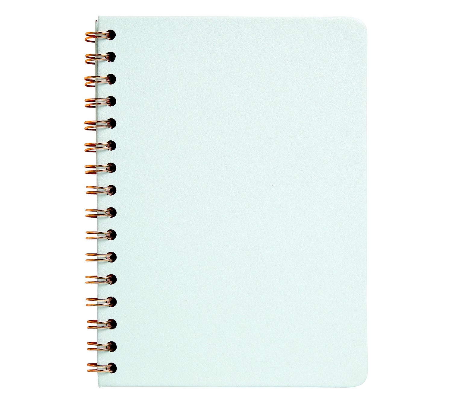 A5 LEATHER SPIRAL NOTEBOOK: MINT