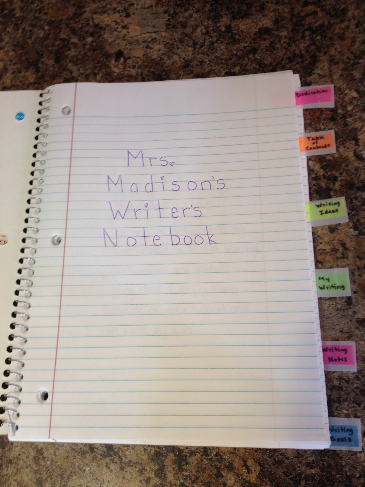 Apples of Your Eye! ~*~: Writer's Notebook Organization!