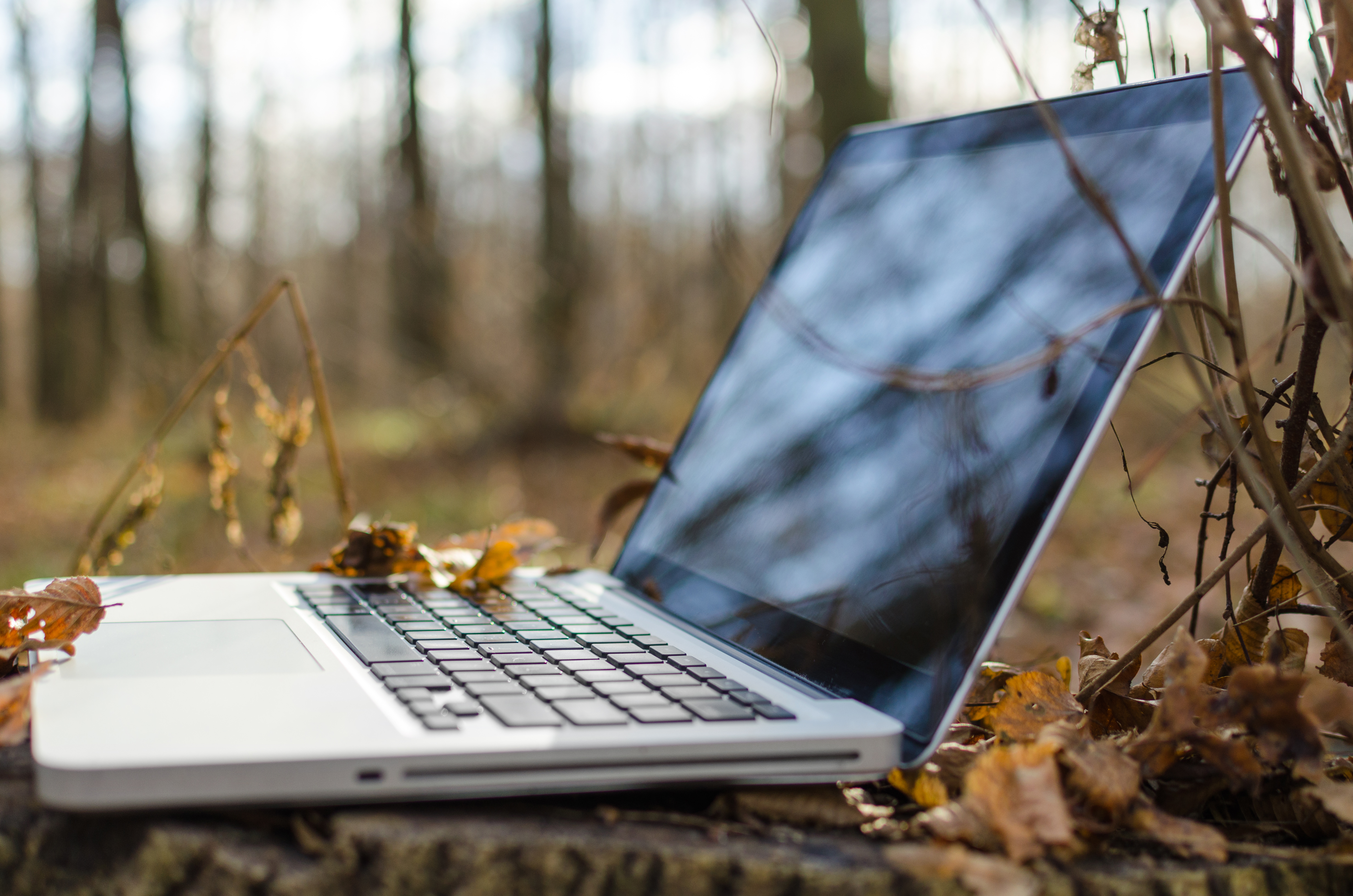 Notebook computer in forest photo