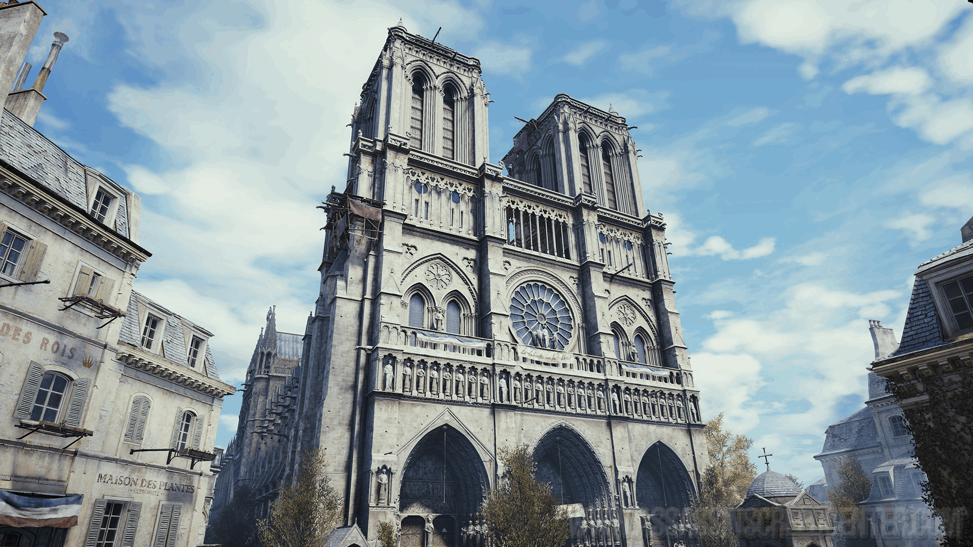 Notre Dame GIF - Find & Share on GIPHY