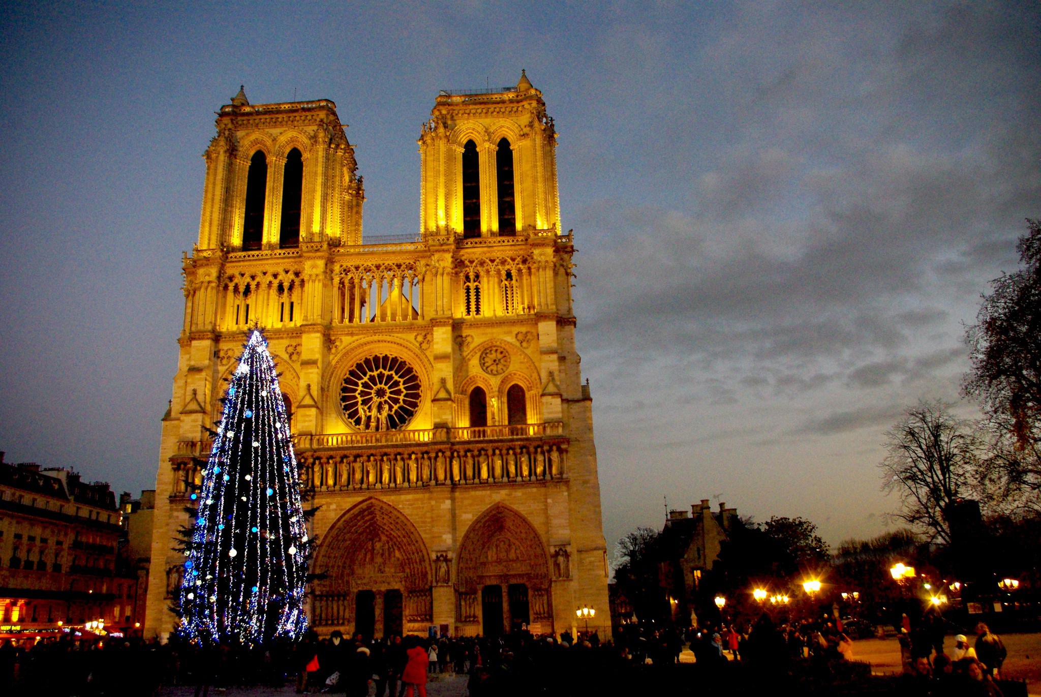 The Christmas Tree of Notre-Dame Cathedral - French Moments