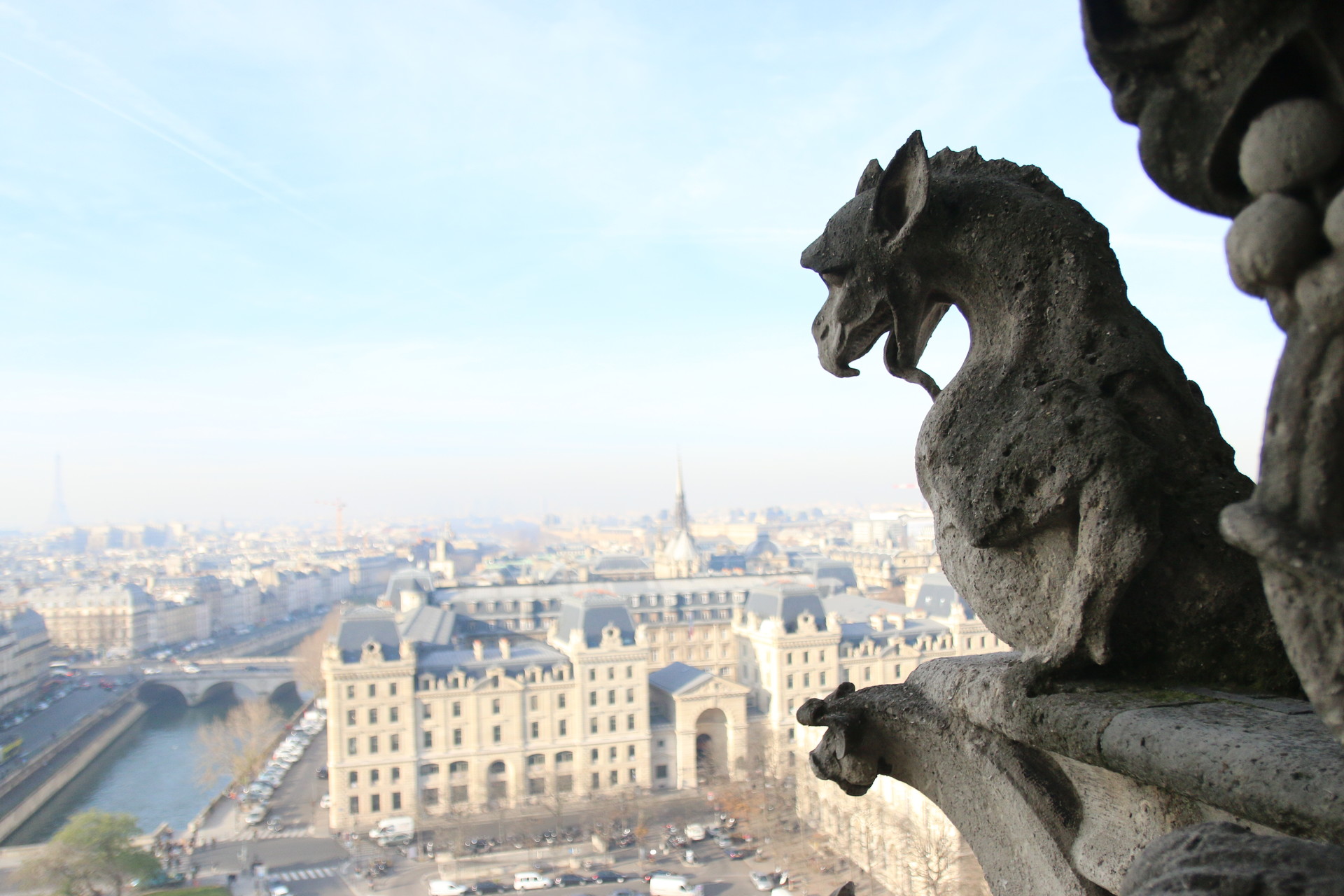 The monster on the top of Notre-Dame Paris | Erasmus photo Paris