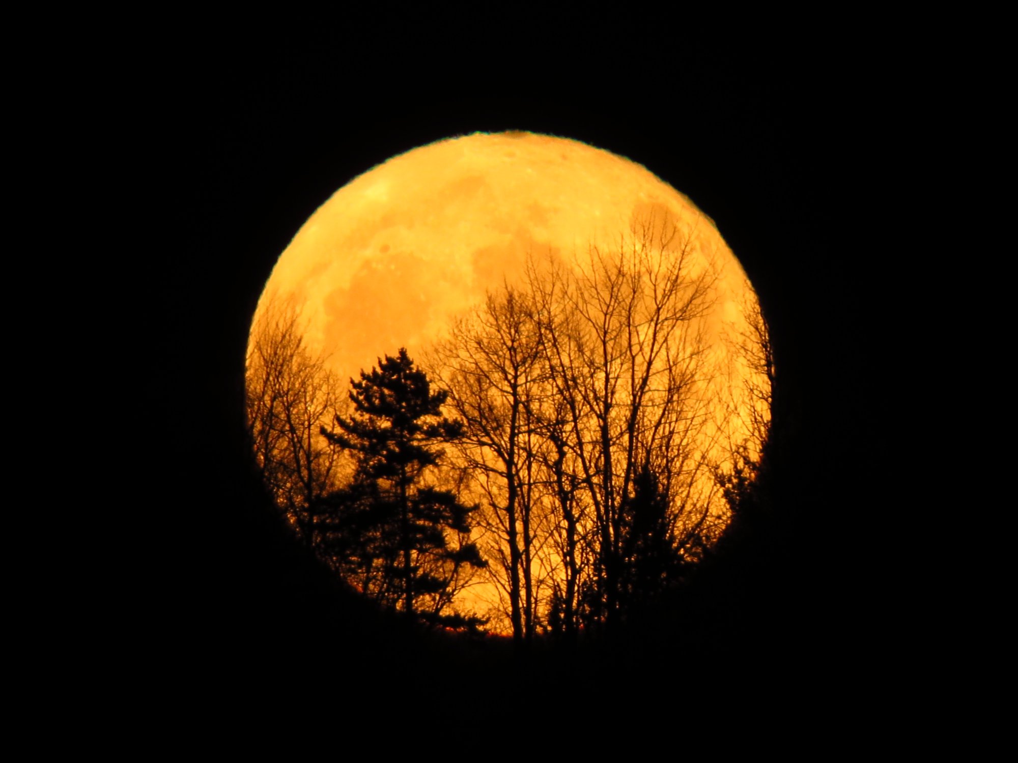 PICTURES: View & submit your shots of the November 2016 supermoon ...