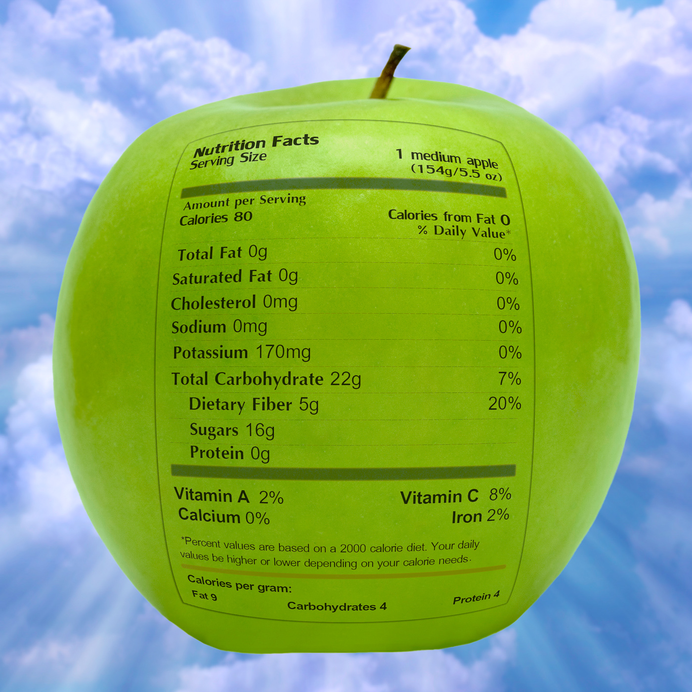 Nutritious apple with health facts photo