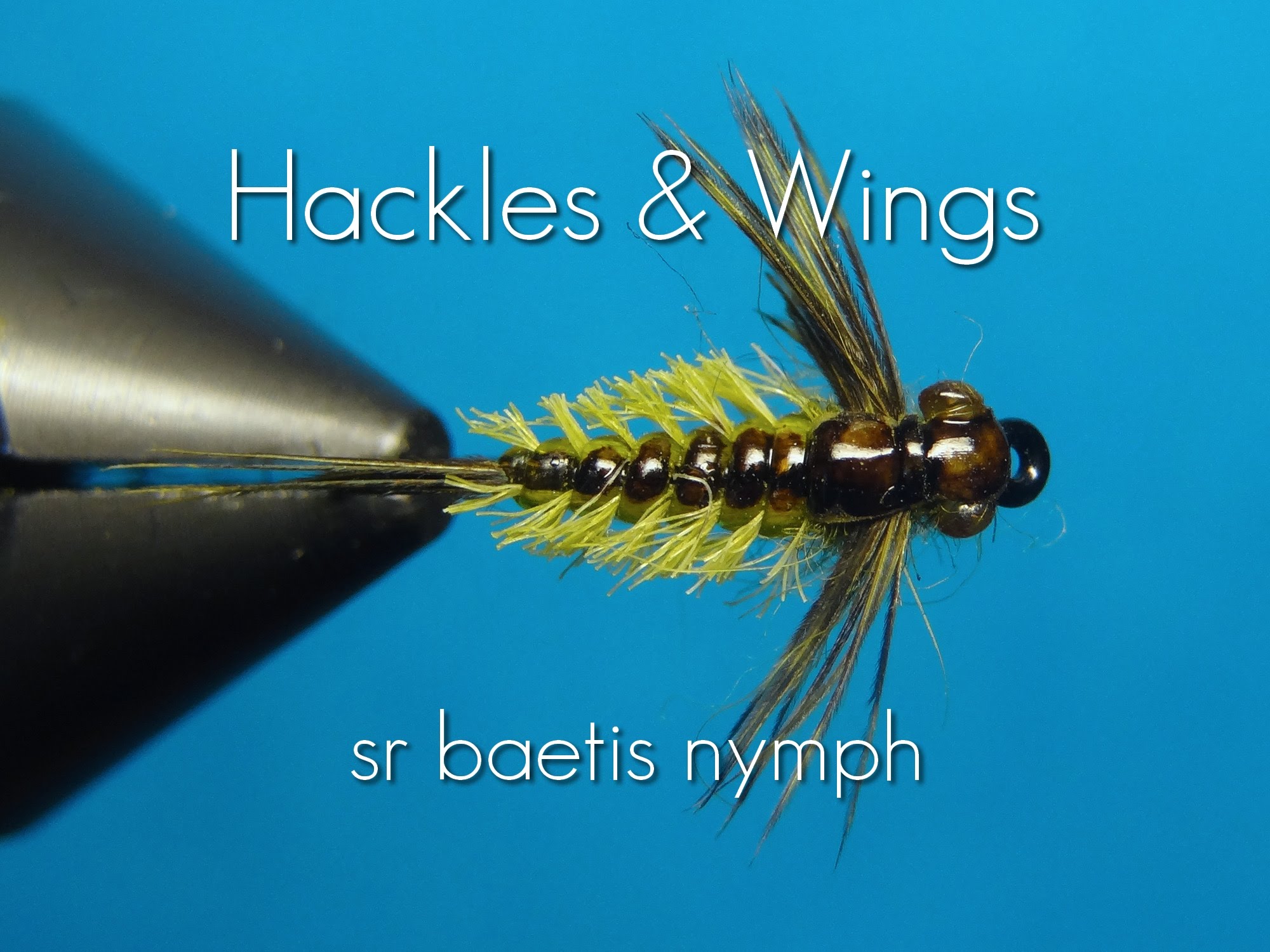 Fly Tying Baetis Nymph (SR) | Hackles & Wings - YouTube