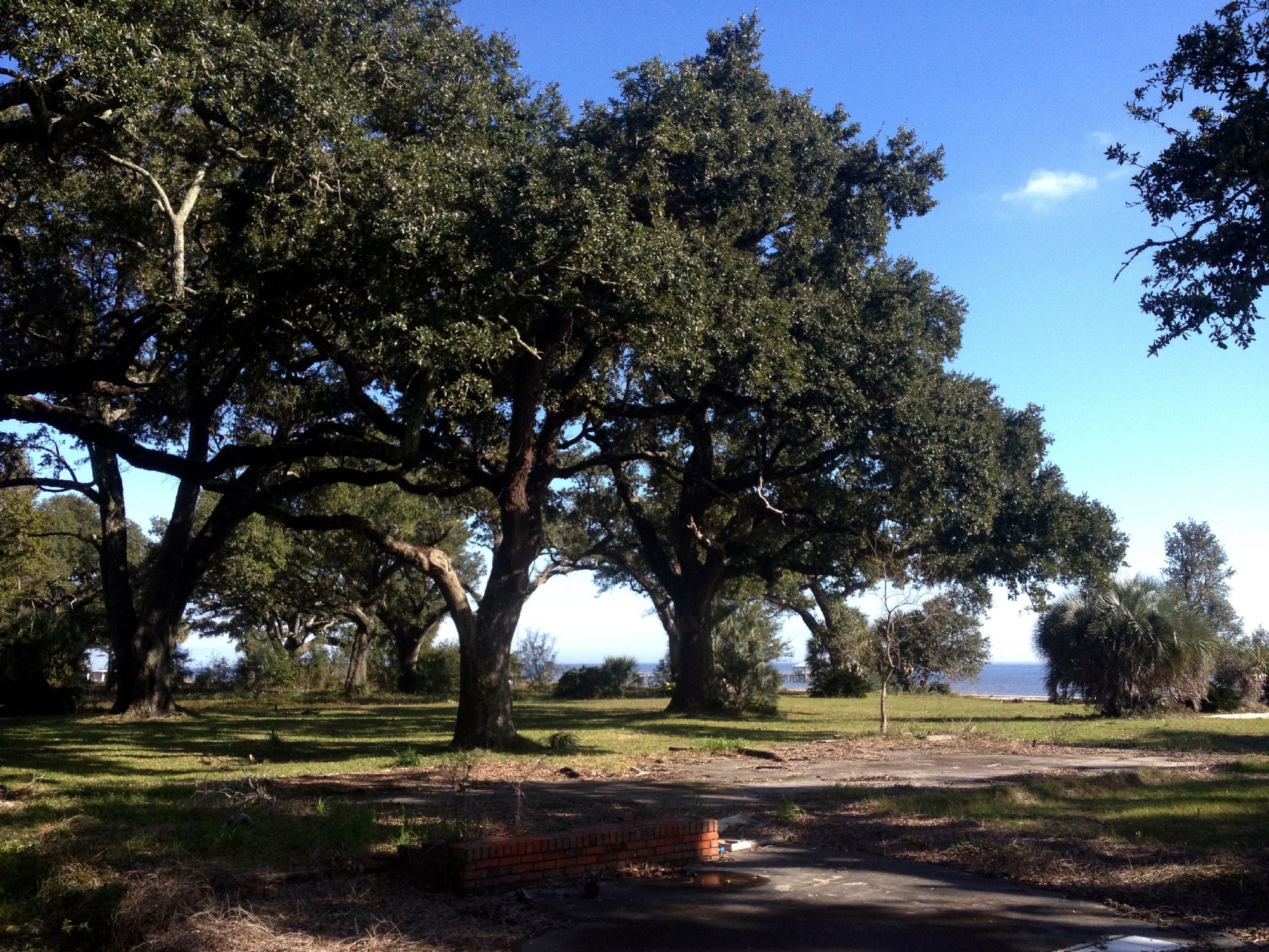 SOLD! Gulf Front Lot with Huge Oak trees. - 754 West Beach, Pass ...