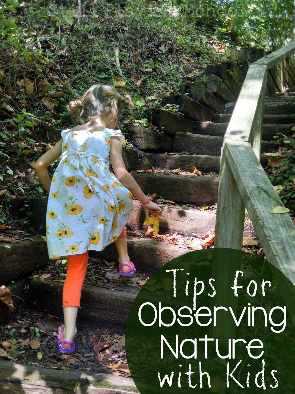 Tips for Observing Nature with Kids | Still Playing School