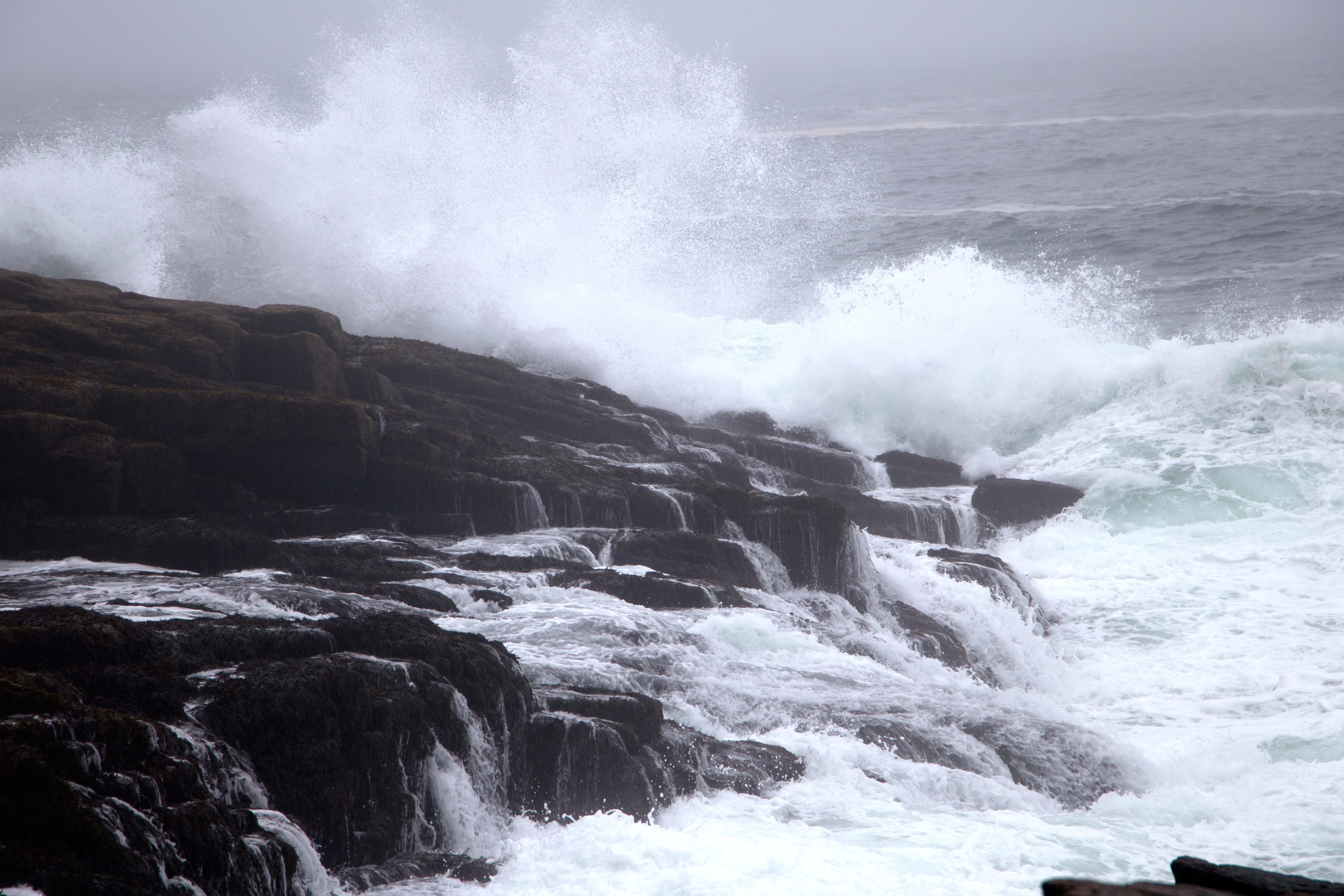 Free picture: windy weather, nature, ocean, water, rocks