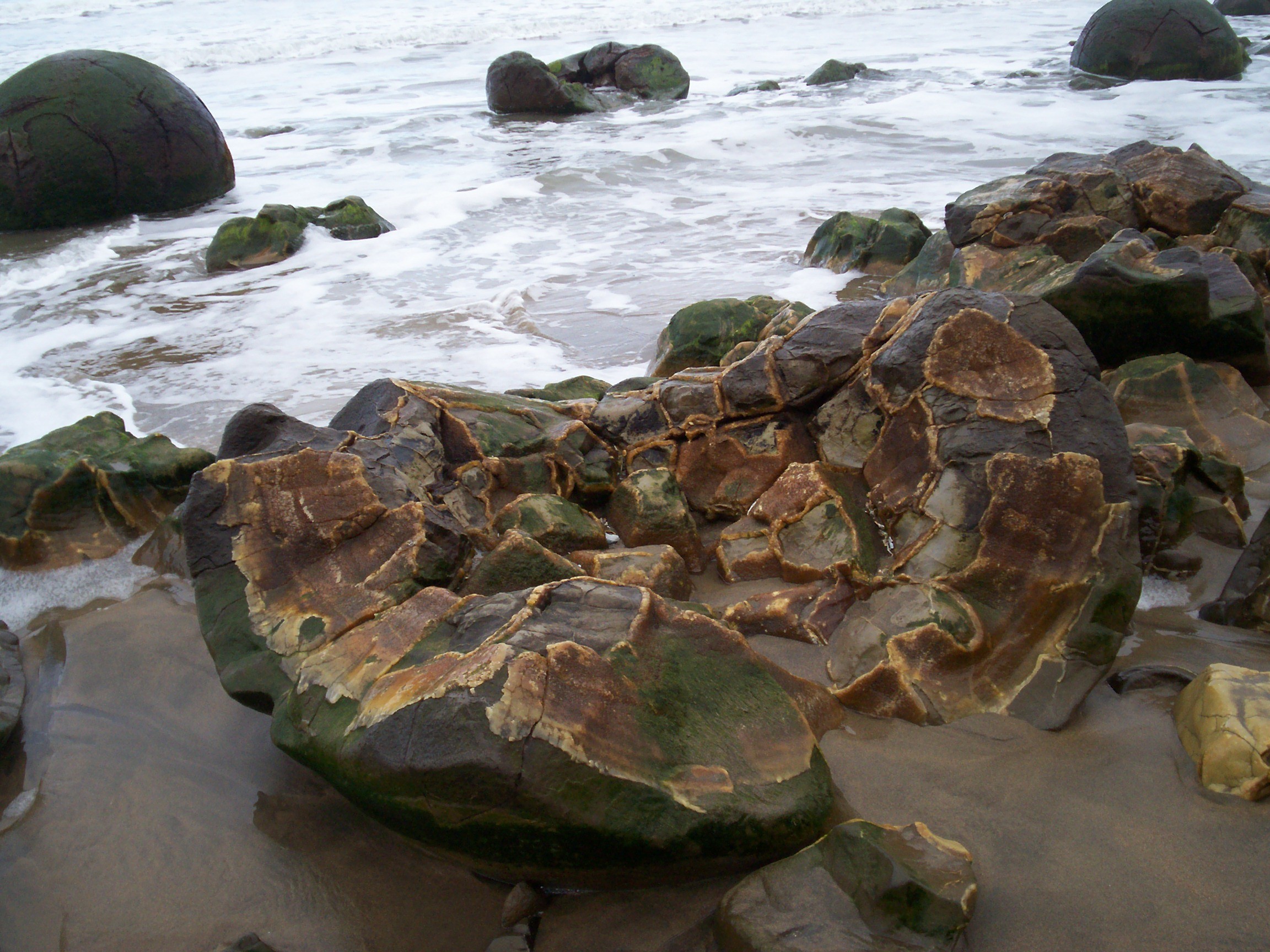 Ocean boulders photo