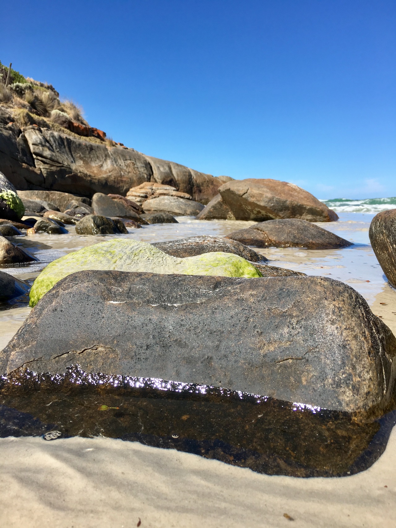 Foap.com: Green algae on boulders in ocean south Australia low tide ...