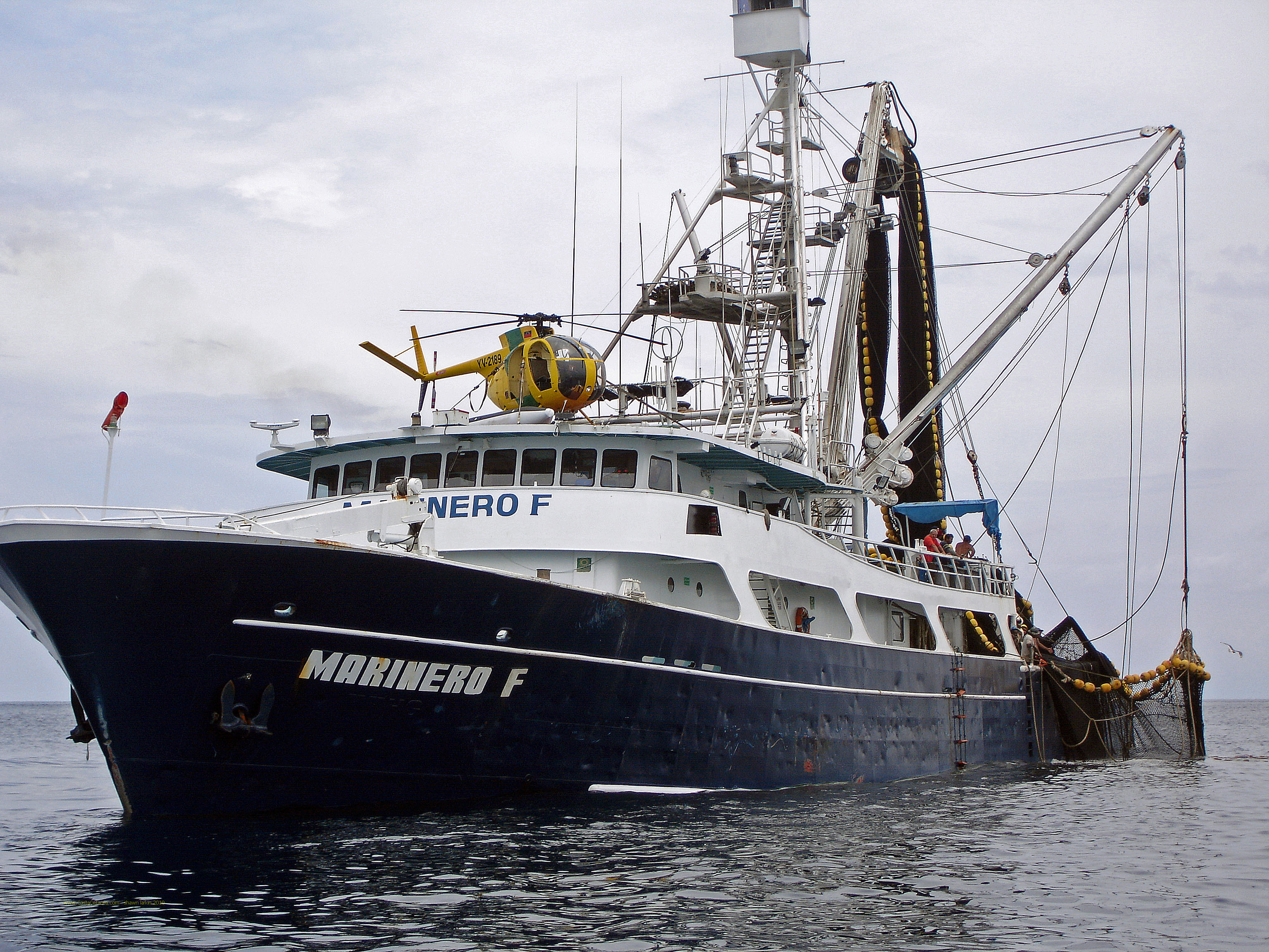 Tuna company, fishermen and environmental groups squabble over ...