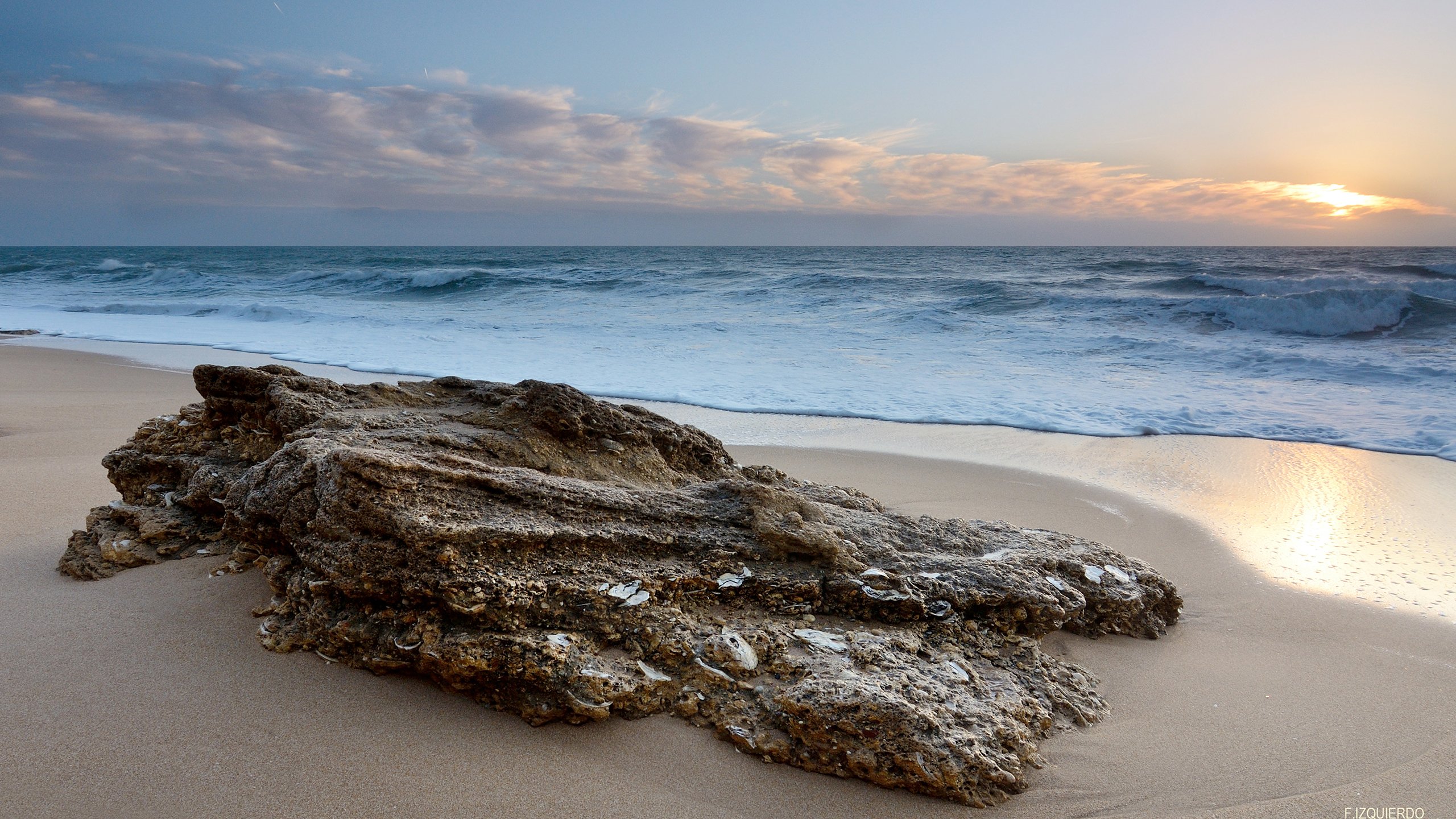 Beach Ocean Rock Stone wallpaper | 2560x1440 | 247891 | WallpaperUP