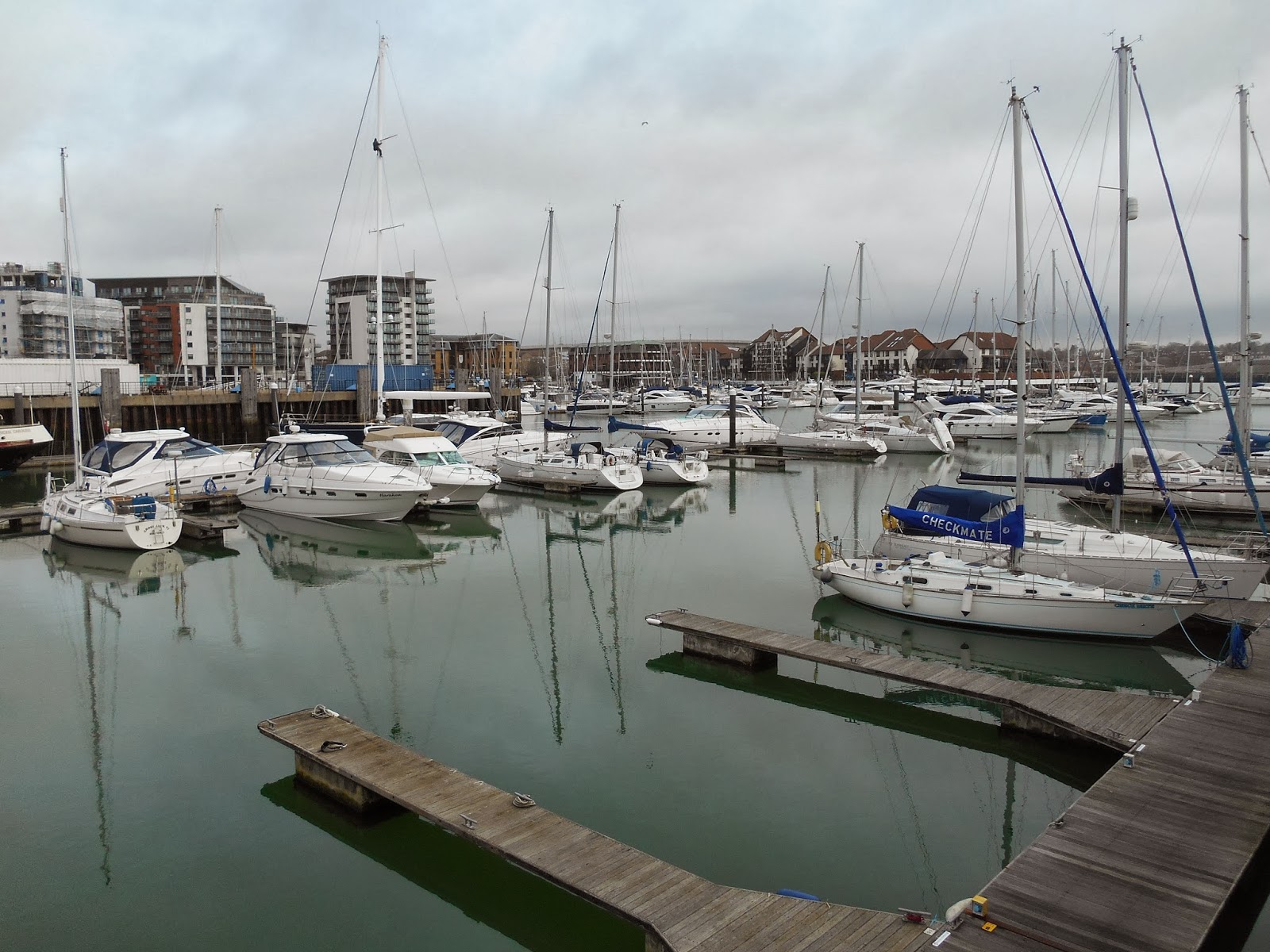 Nature Notes and Observations: Ocean Village - Southampton