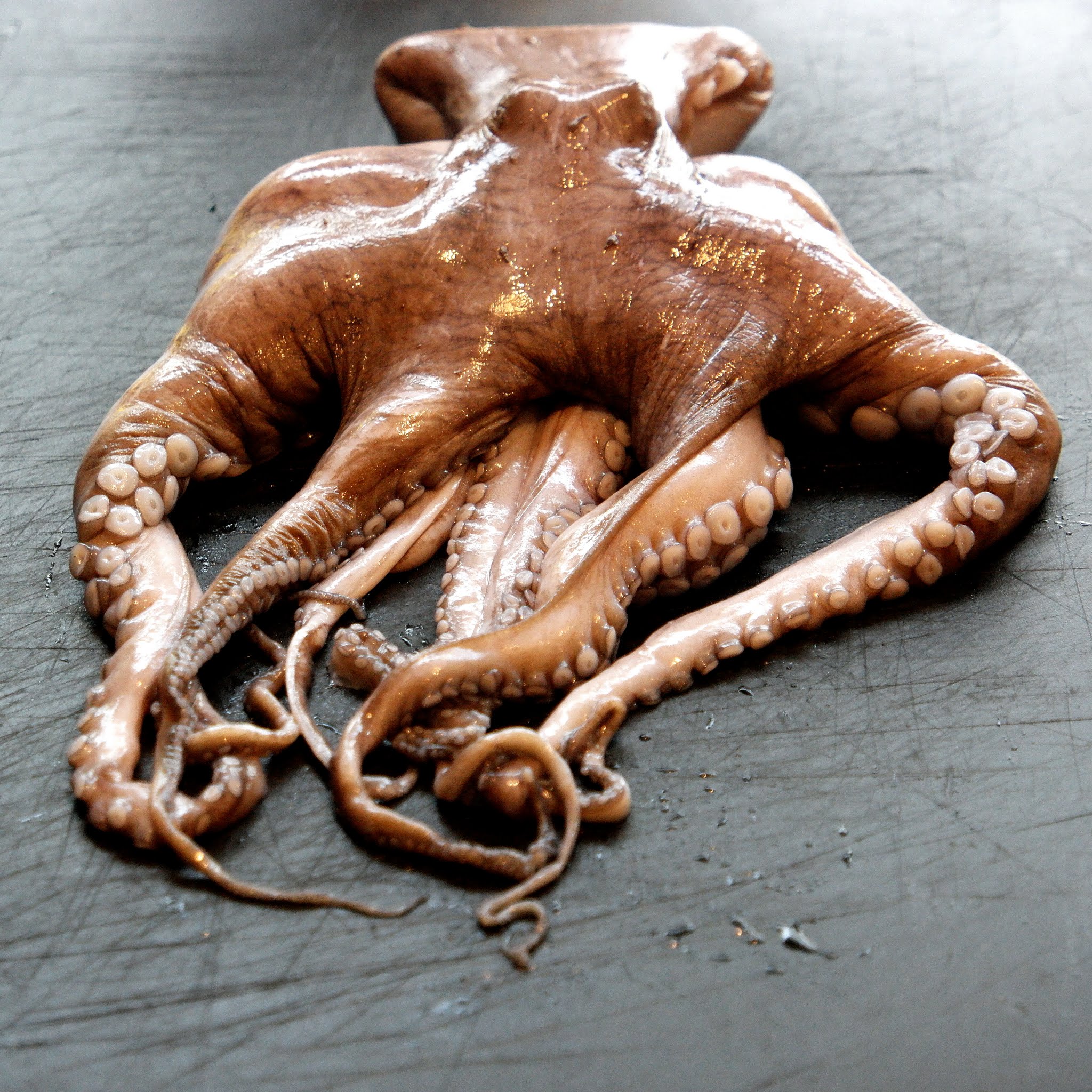 Sous Vide Octopus
