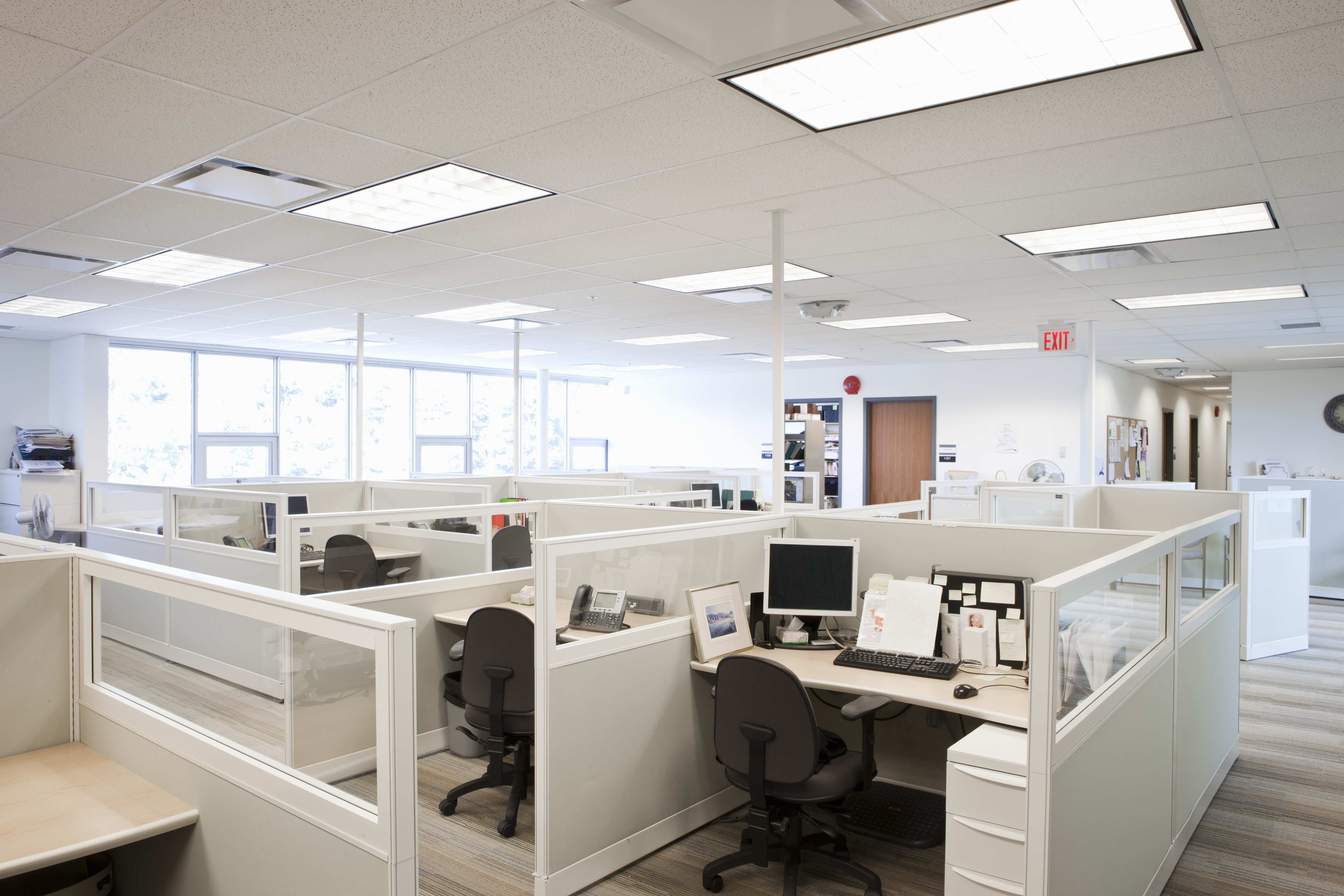 It's Time to Bring Back the Office Cubicle | Fortune