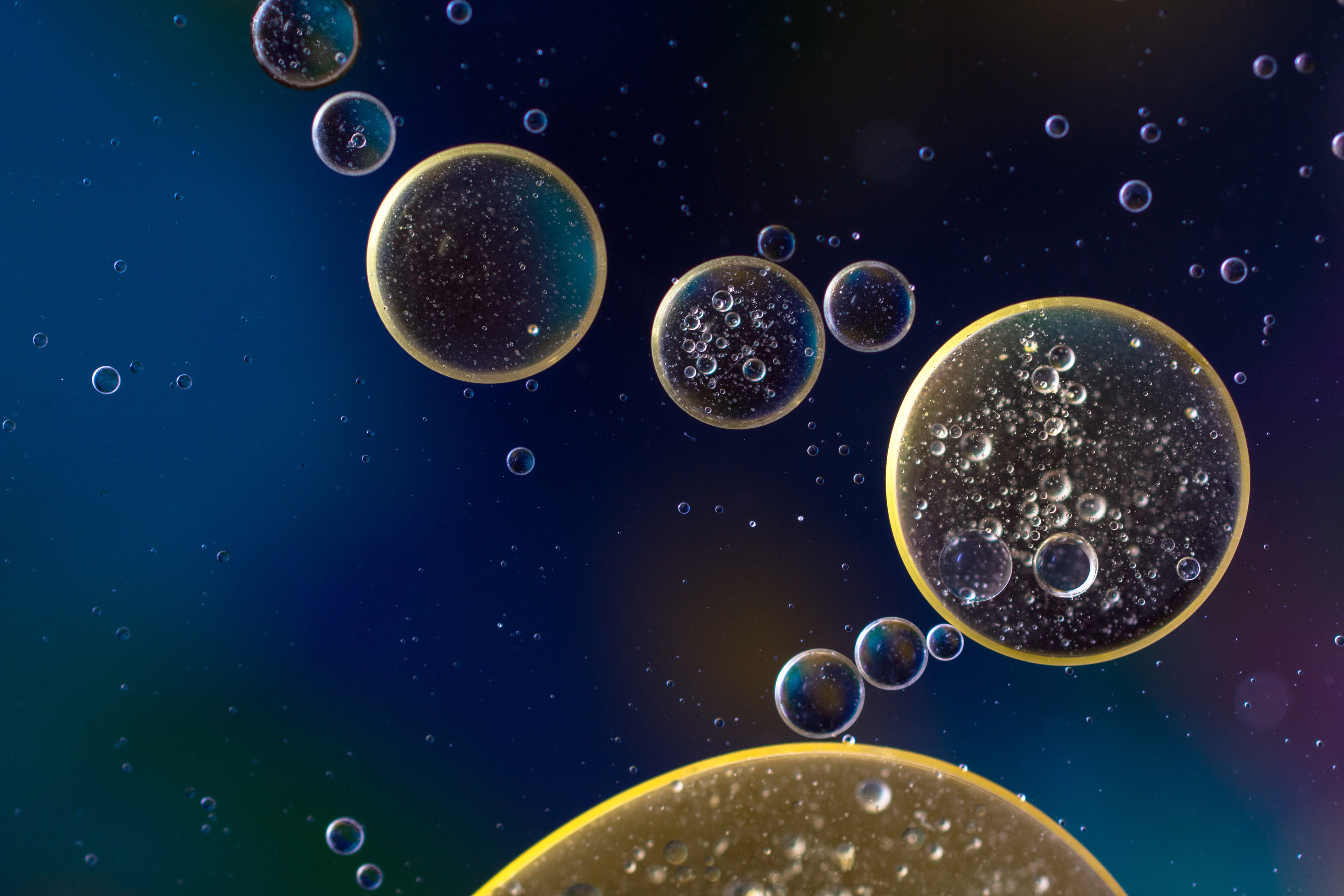 Oil Droplets in Water image - Free stock photo - Public Domain photo ...