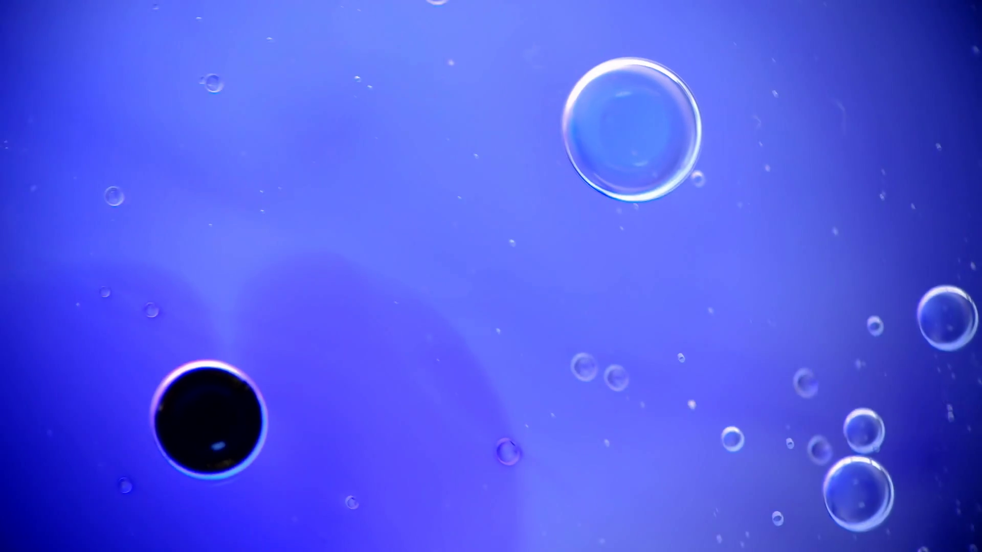 Dark matter. Macro. Oil babbles with ink on water, abstraction video ...