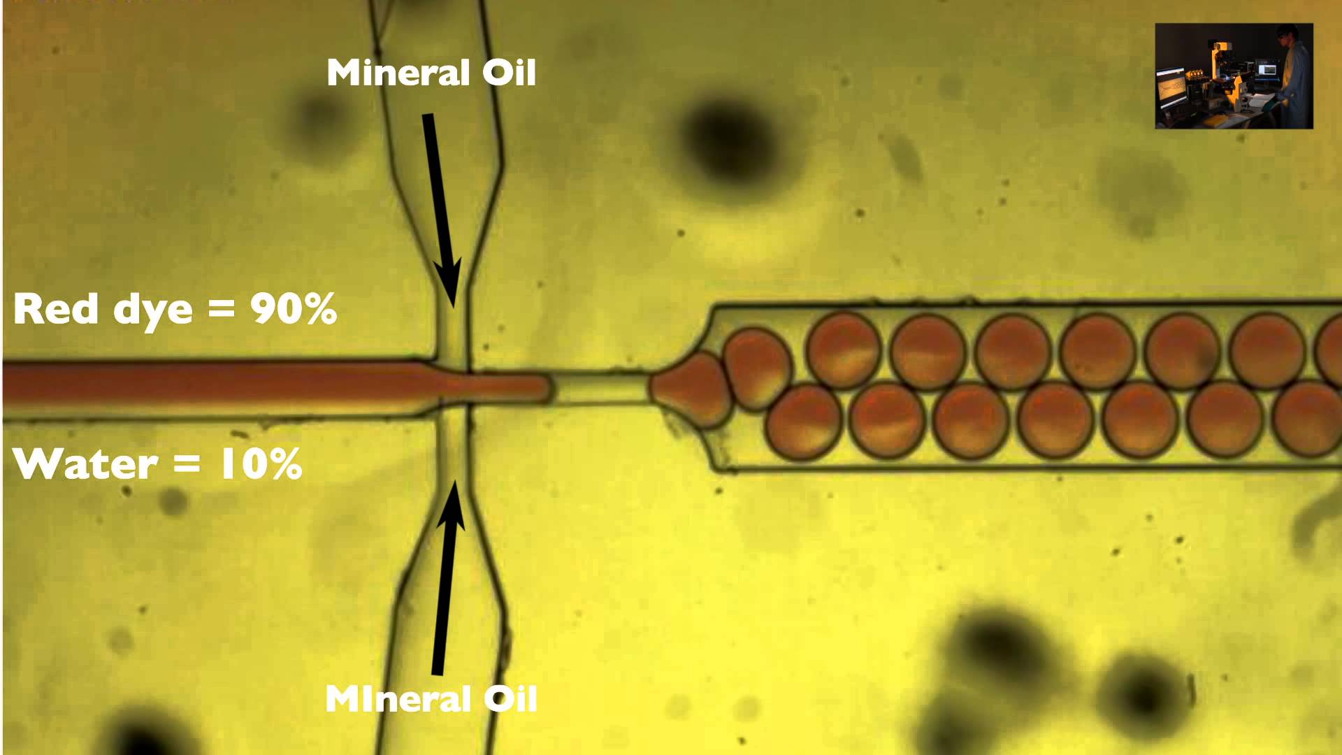 Water in oil emulsion in a microchip - YouTube
