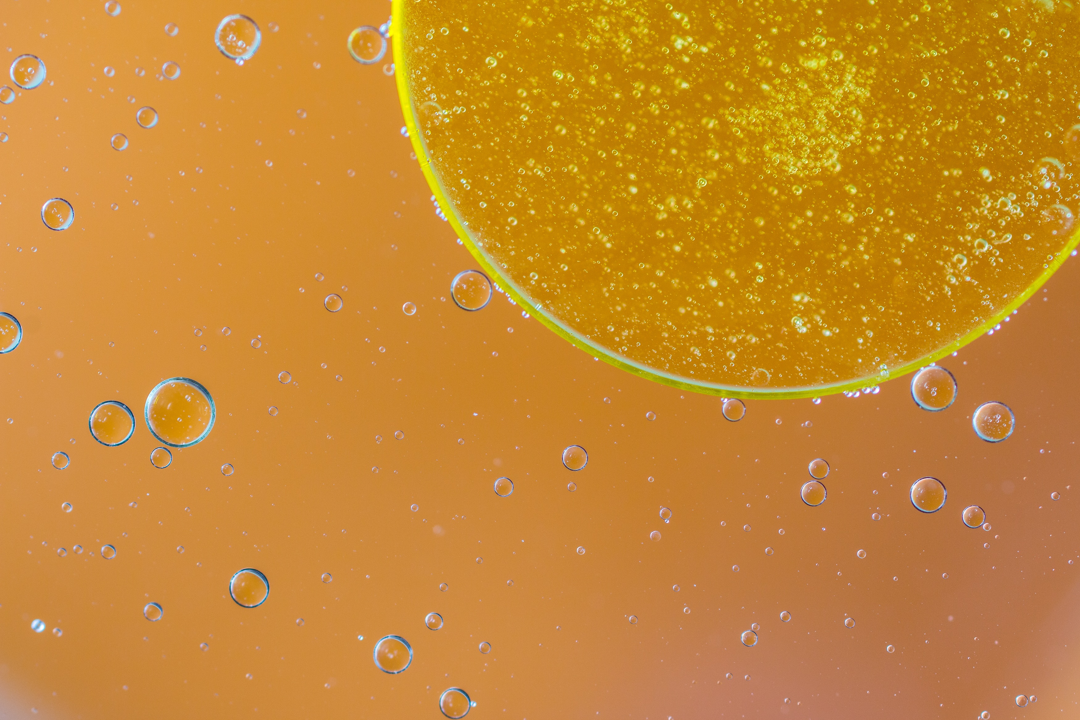 Oil in Water, Bubble, Circle, Insoluble, Liquid, HQ Photo