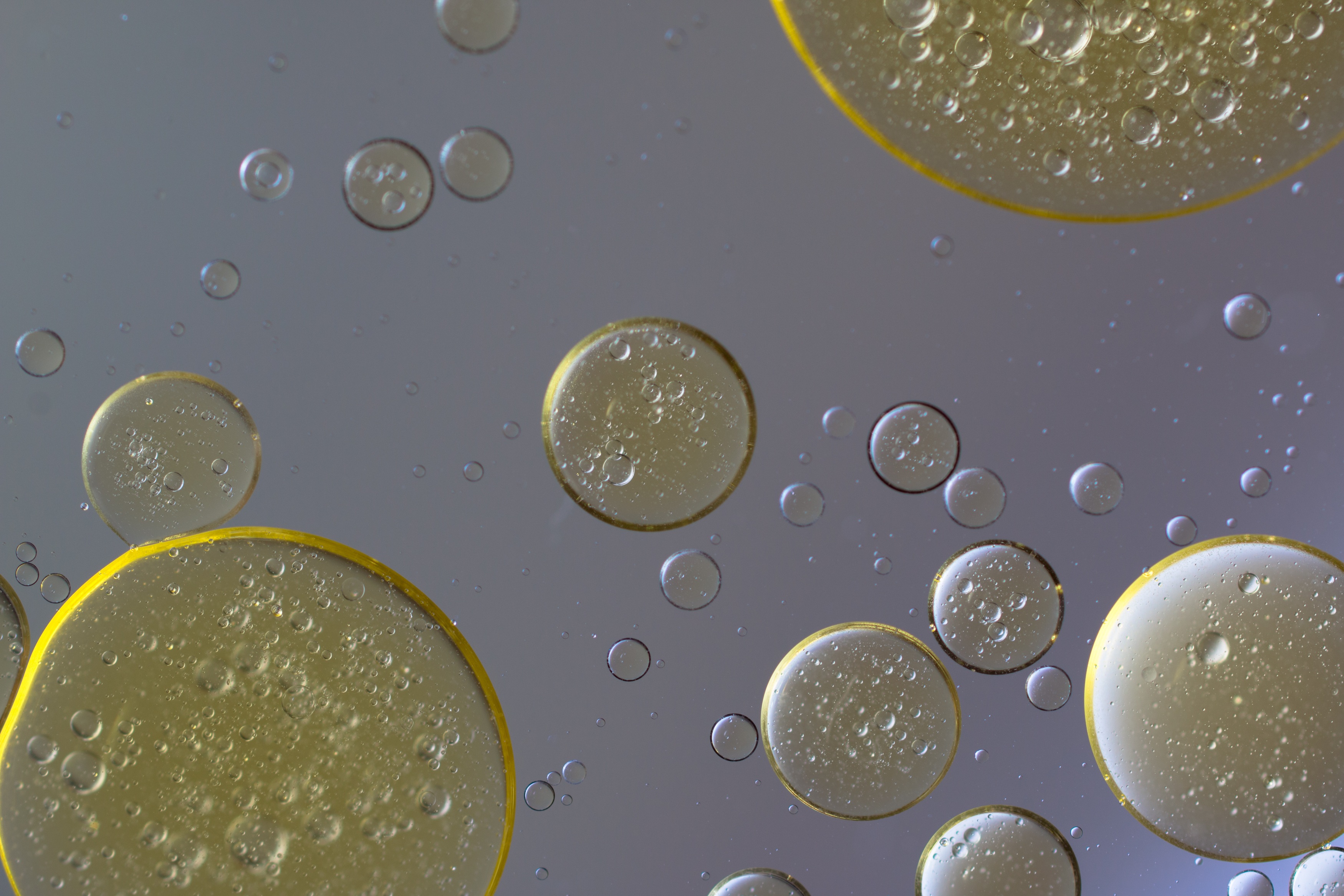 Oil in Water, Bubble, Circle, Insoluble, Liquid, HQ Photo
