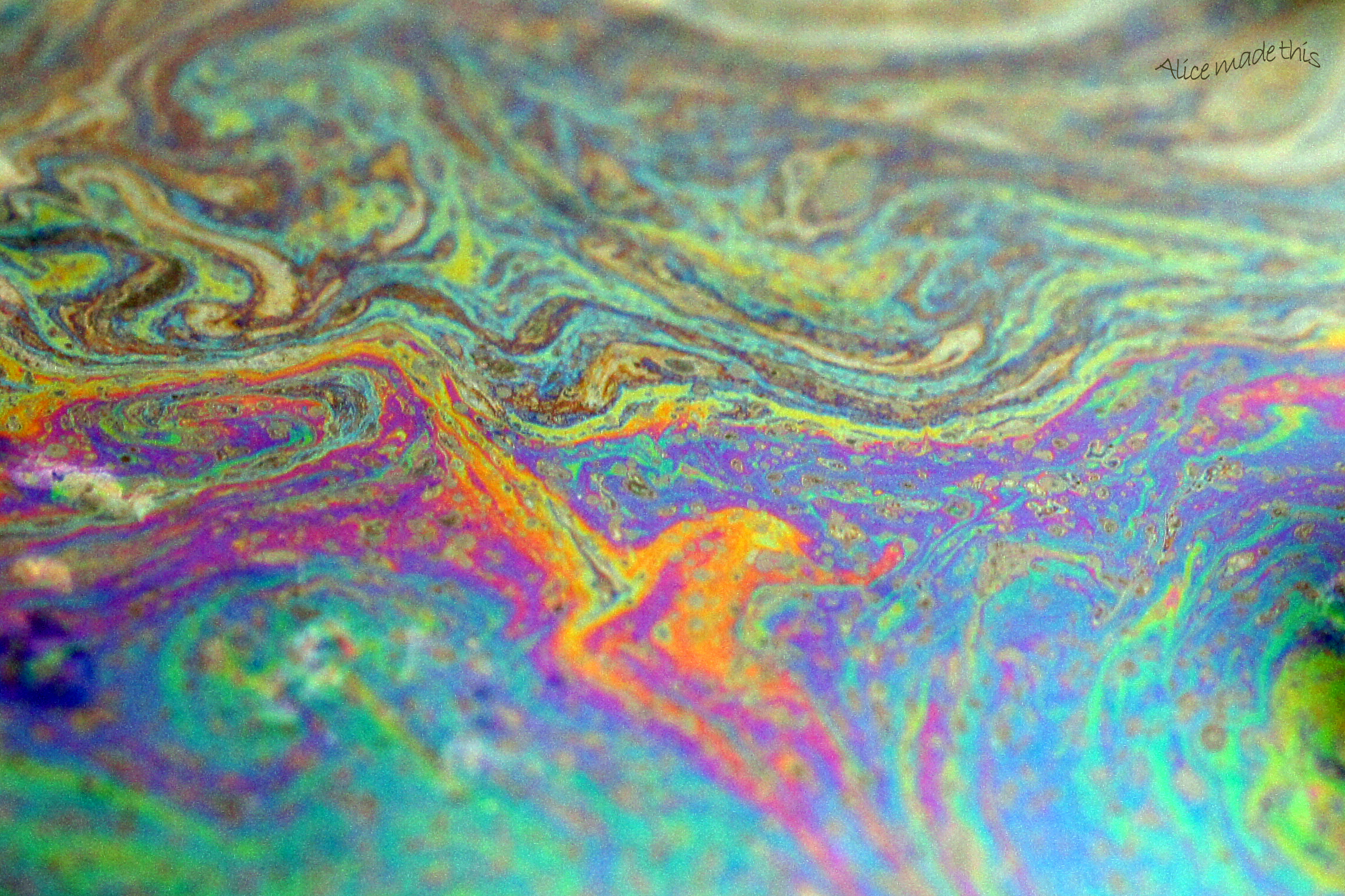 oil and water | Alice through the Macro Lens