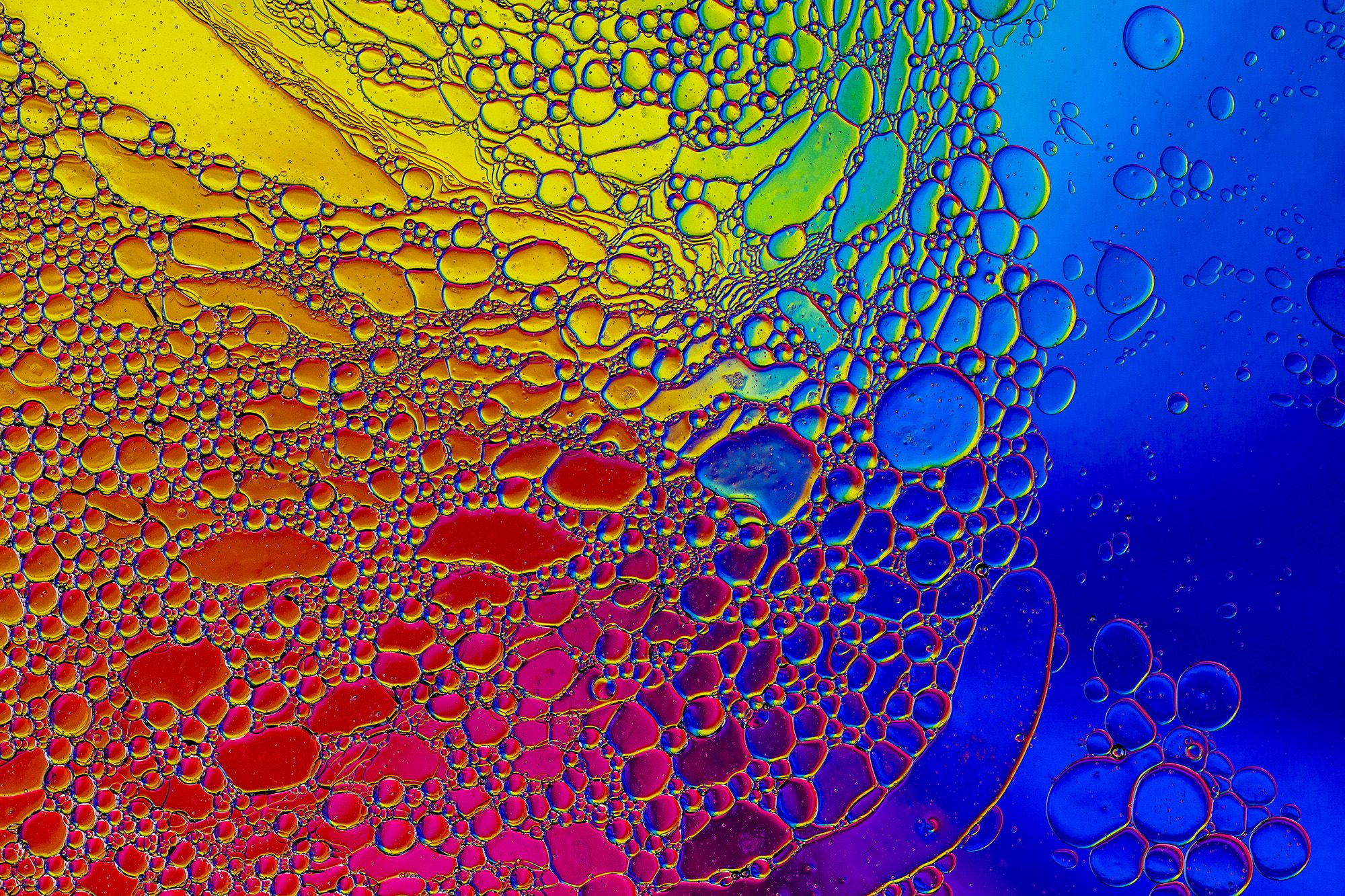 Oil in water bubbles | Paul Kahlert Photography | Pinterest ...