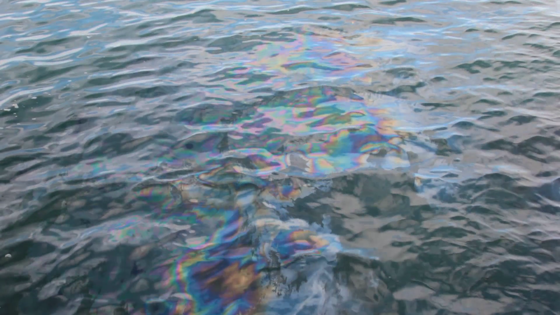 Oil Slick on Surface of Water at USS Arizona Memorial Site, Pearl ...