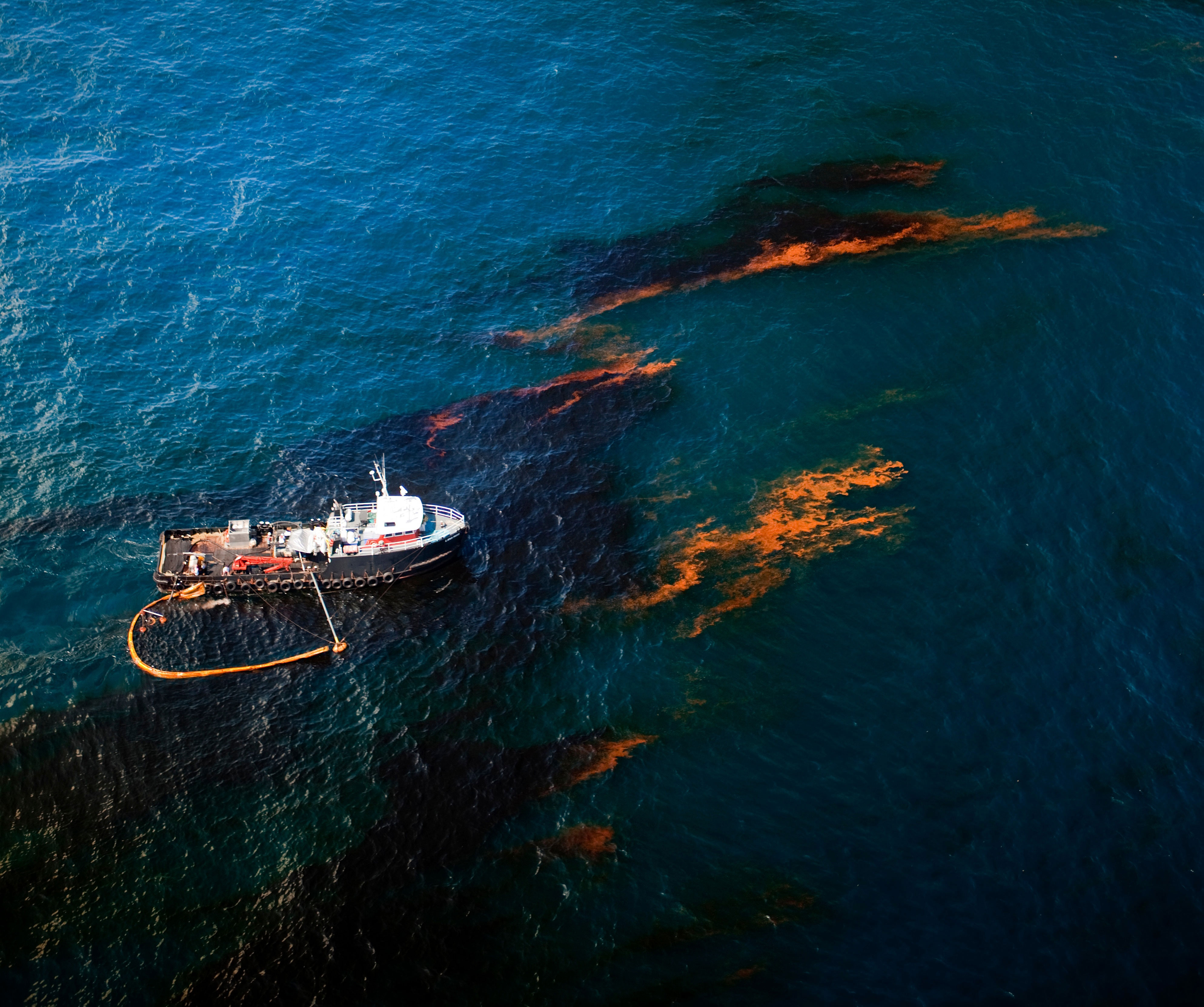 5 Frightening Effects of Oil Spills on Both Land and Marine Animals