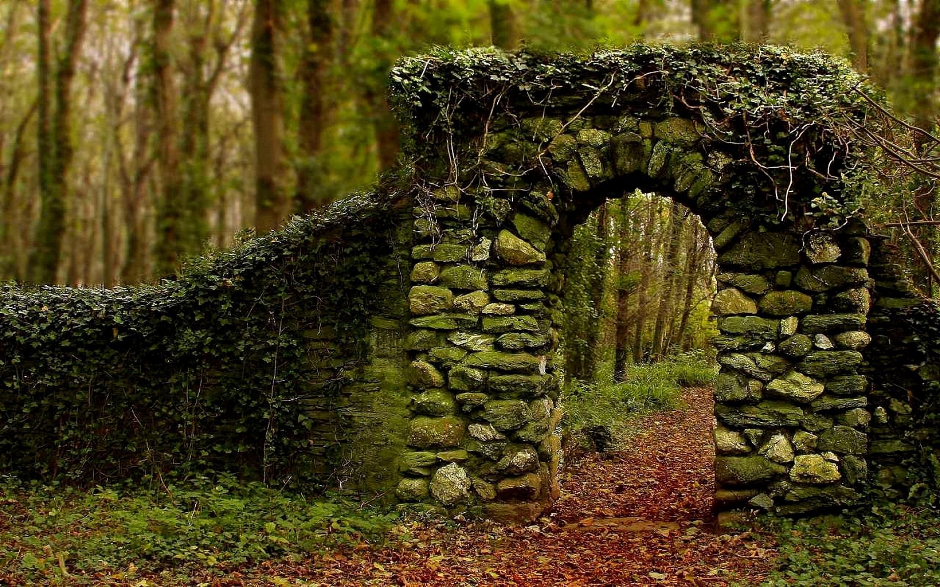 Forests: Old Archway Arches Stone Beautiful Woods Quaint Forests ...