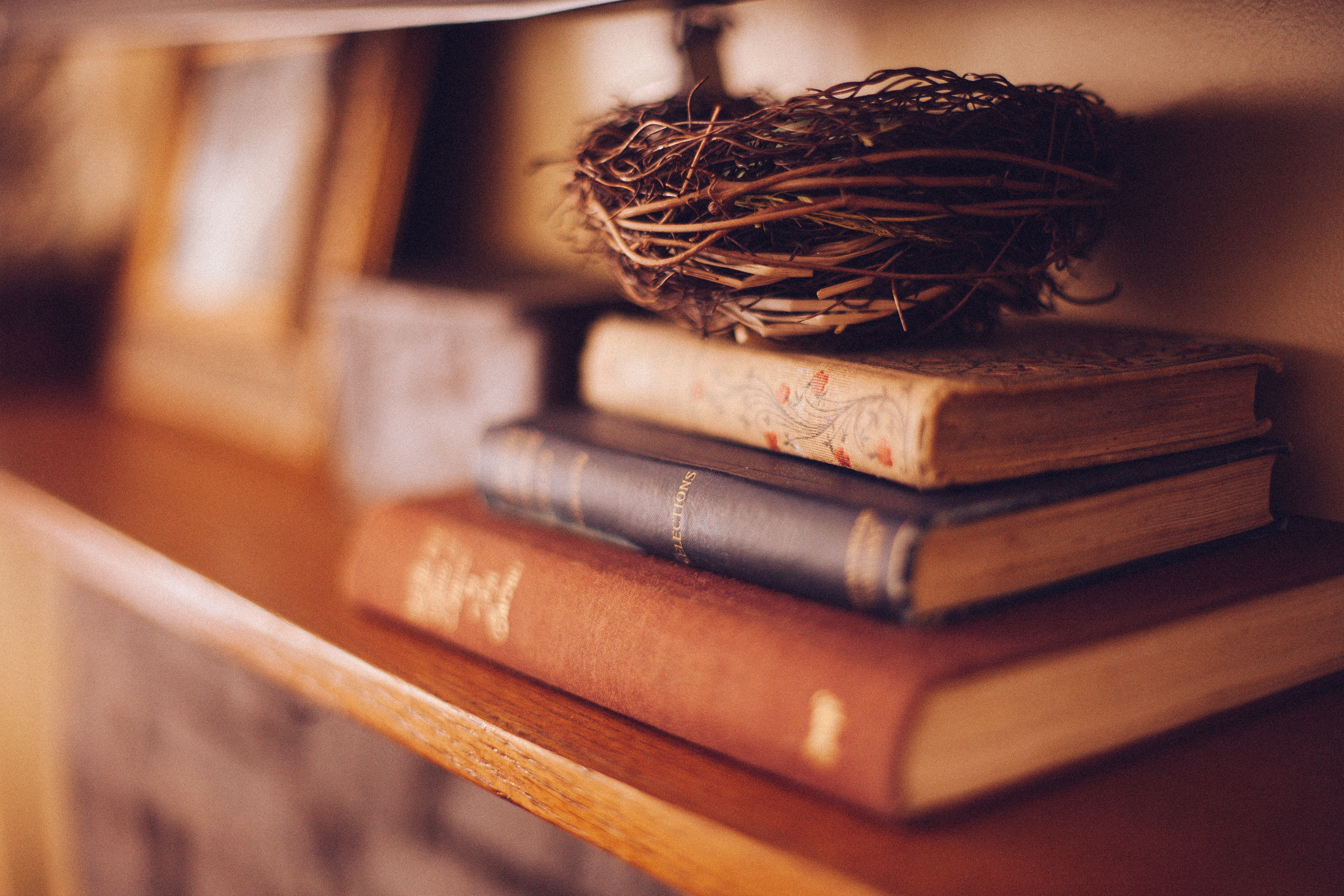 Old Books Wood Shelf Birds Nest Warm Tones - Public Domain Images ...