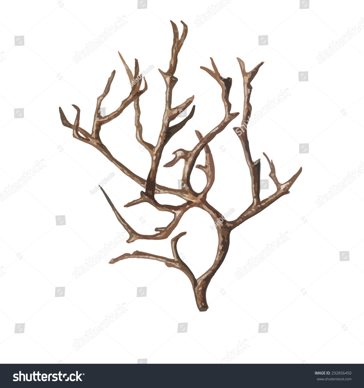 Watercolor Old Tree Without Leaves Isolated Stock Photo (Photo ...