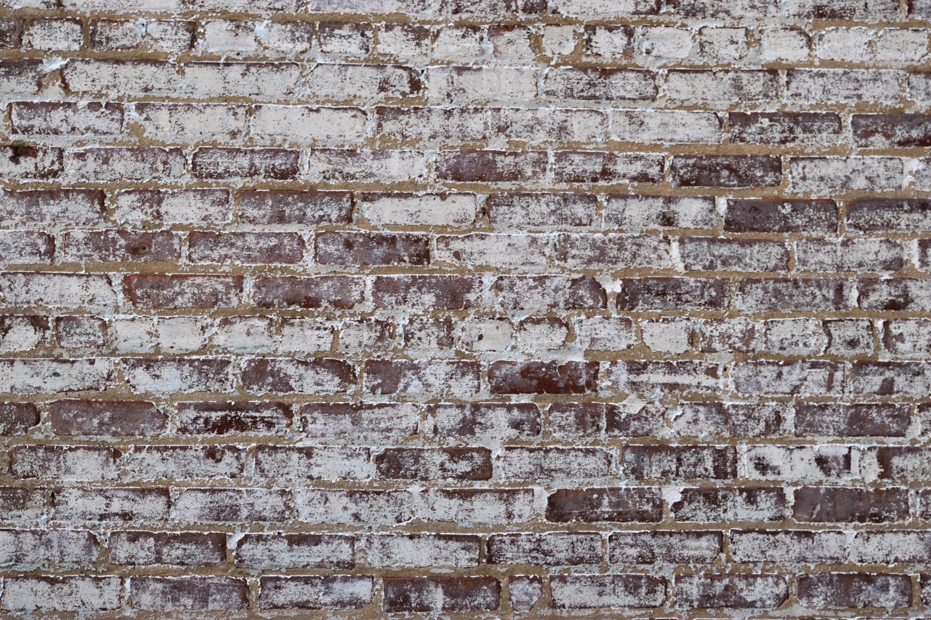 Old Brick Wall Background Free Stock Photo - Public Domain Pictures