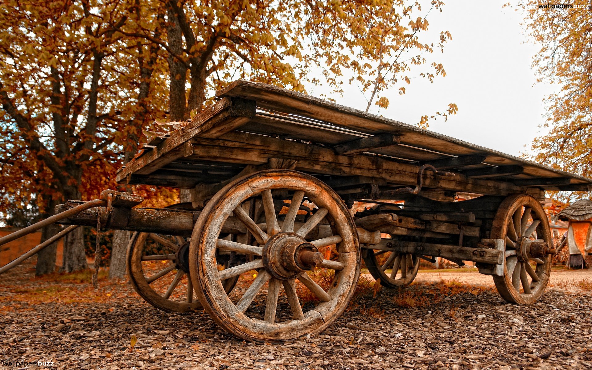An old carriage HD Wallpaper