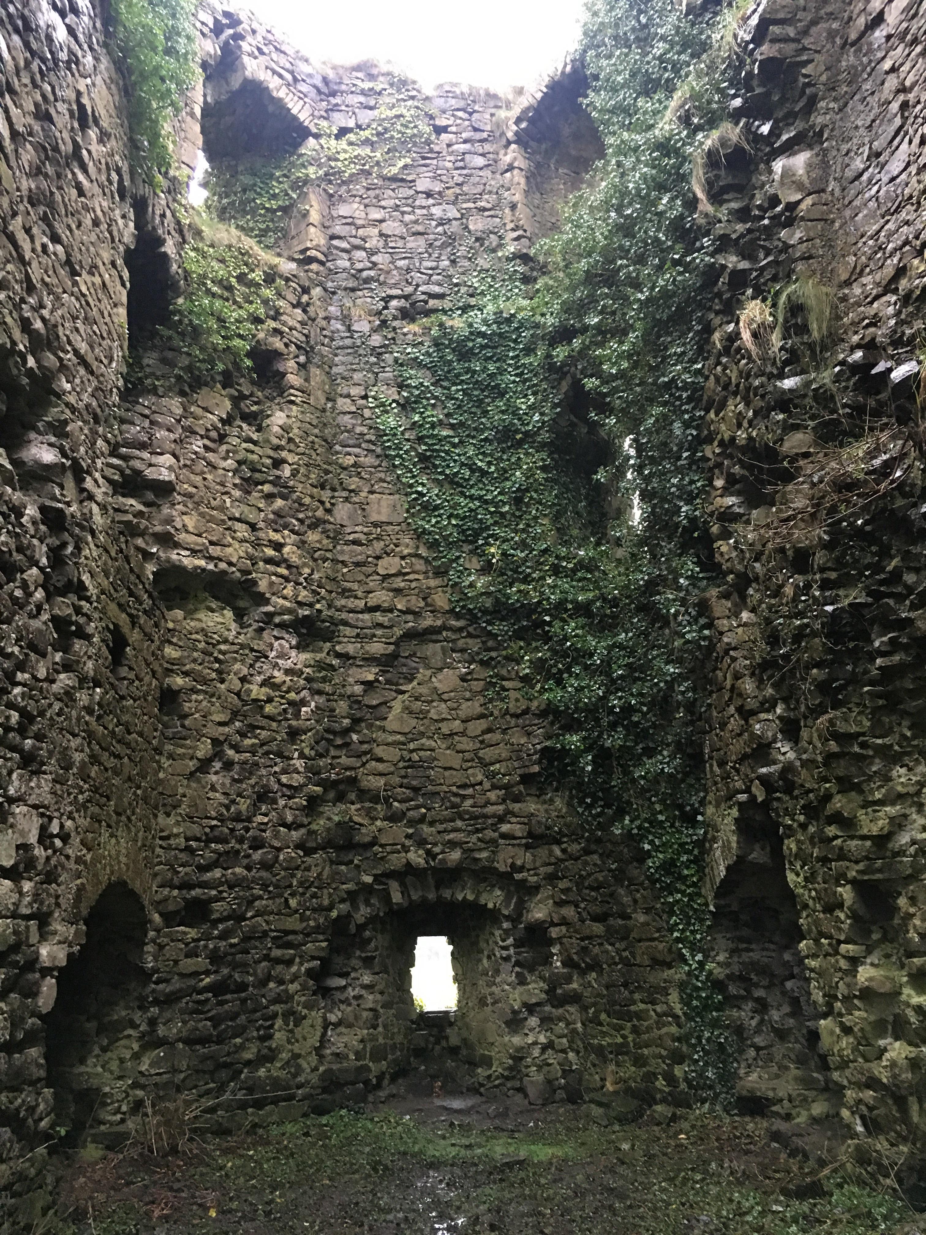 An old castle in the countryside in Ireland. [OC] [1334x750 ...