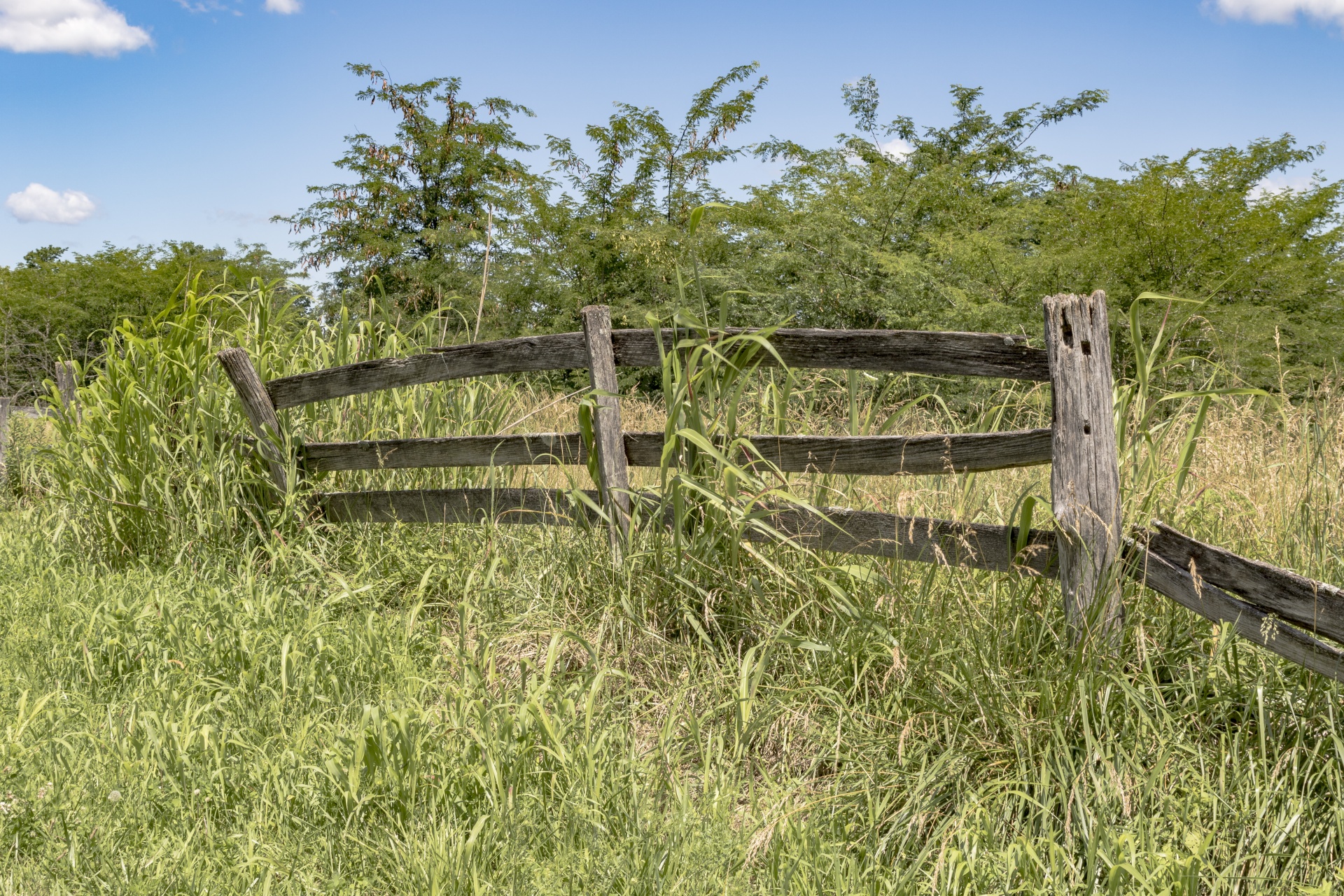 Old Fence Free Stock Photo - Public Domain Pictures