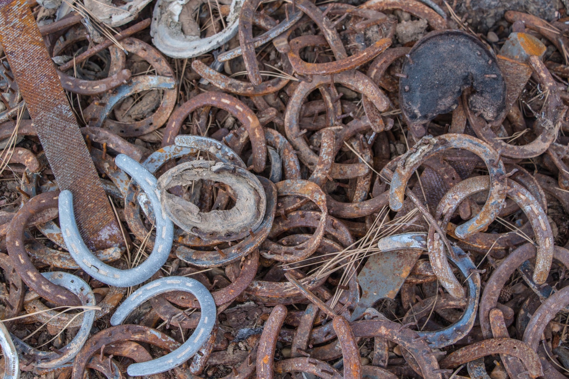 Pile Of Old Horseshoes Free Stock Photo - Public Domain Pictures