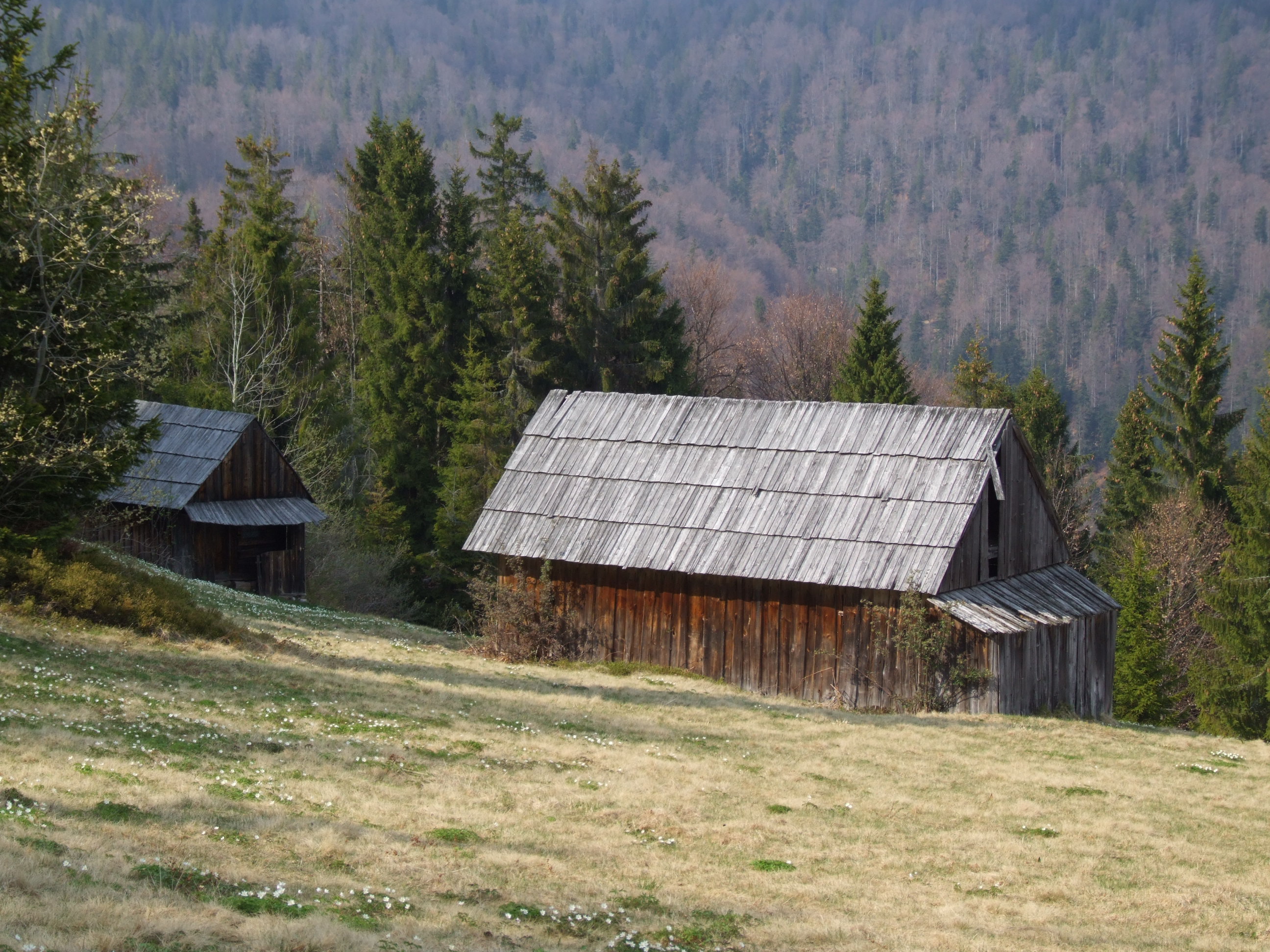 File:Gorce - old hut.JPG - Wikimedia Commons
