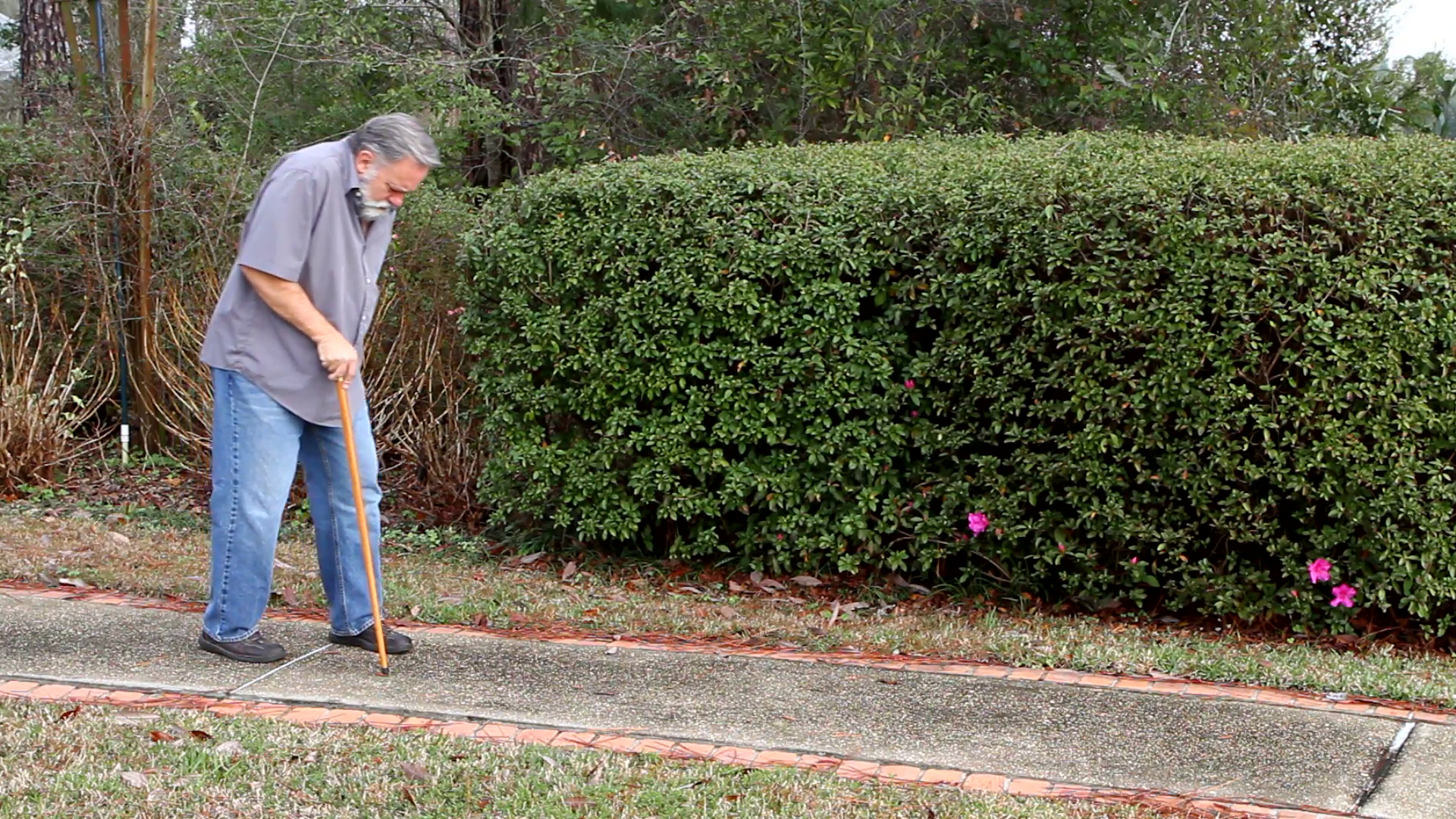 Old man walks down a sidewalk using a walking cane for support ...