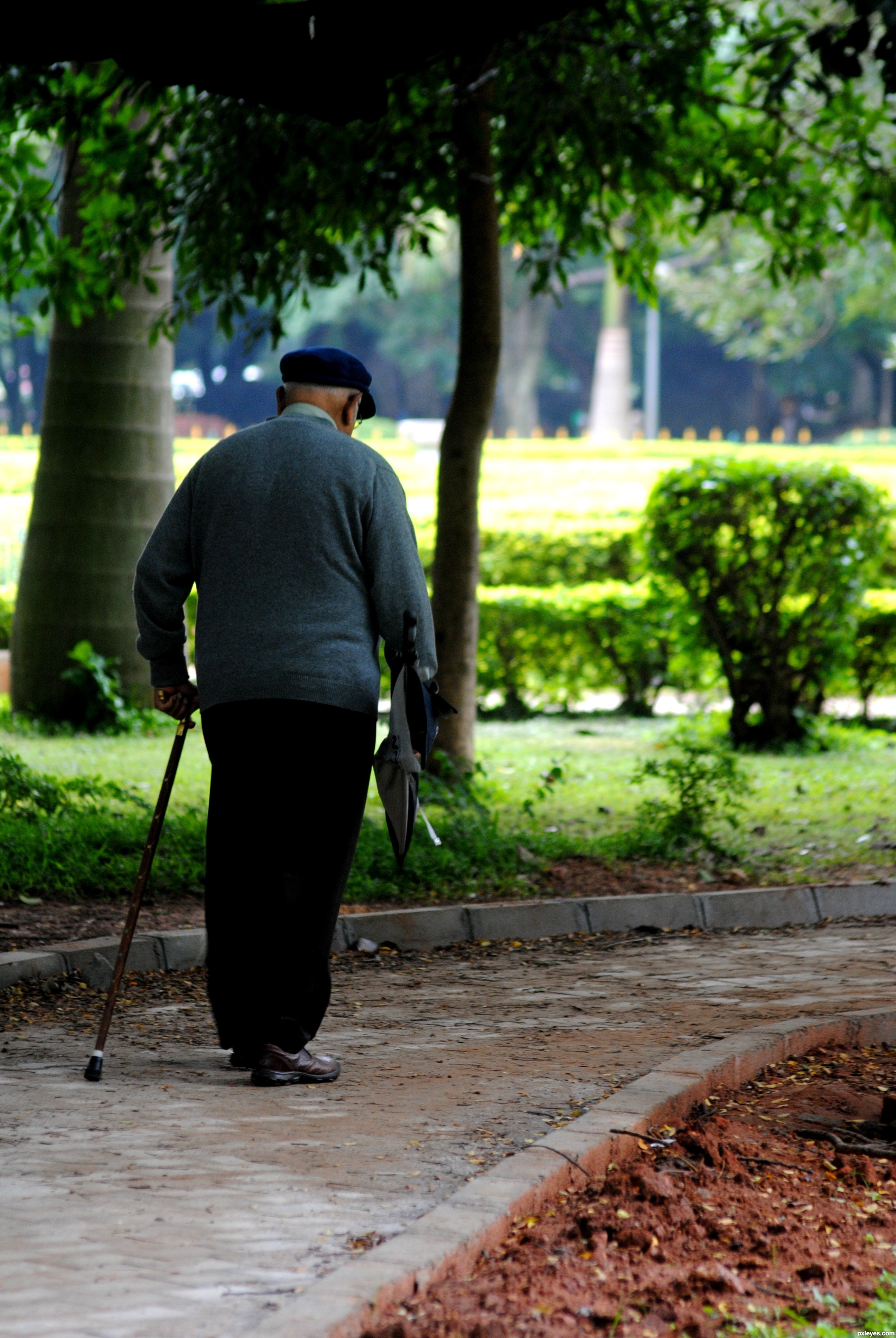 Old man walking.. picture, by arbroono for: from behind photography ...