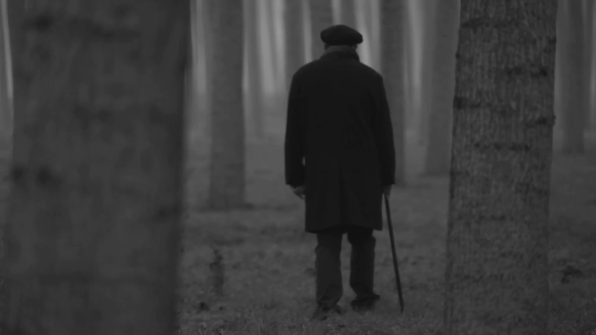 Old Man Back with Walking Cane in Creepy Mysterious Woods Stock ...
