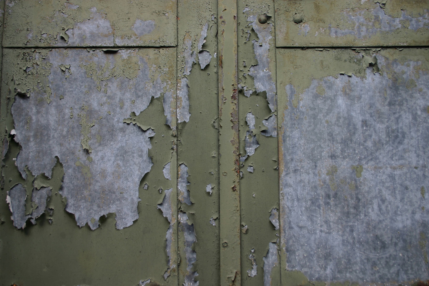 Old metal door photo